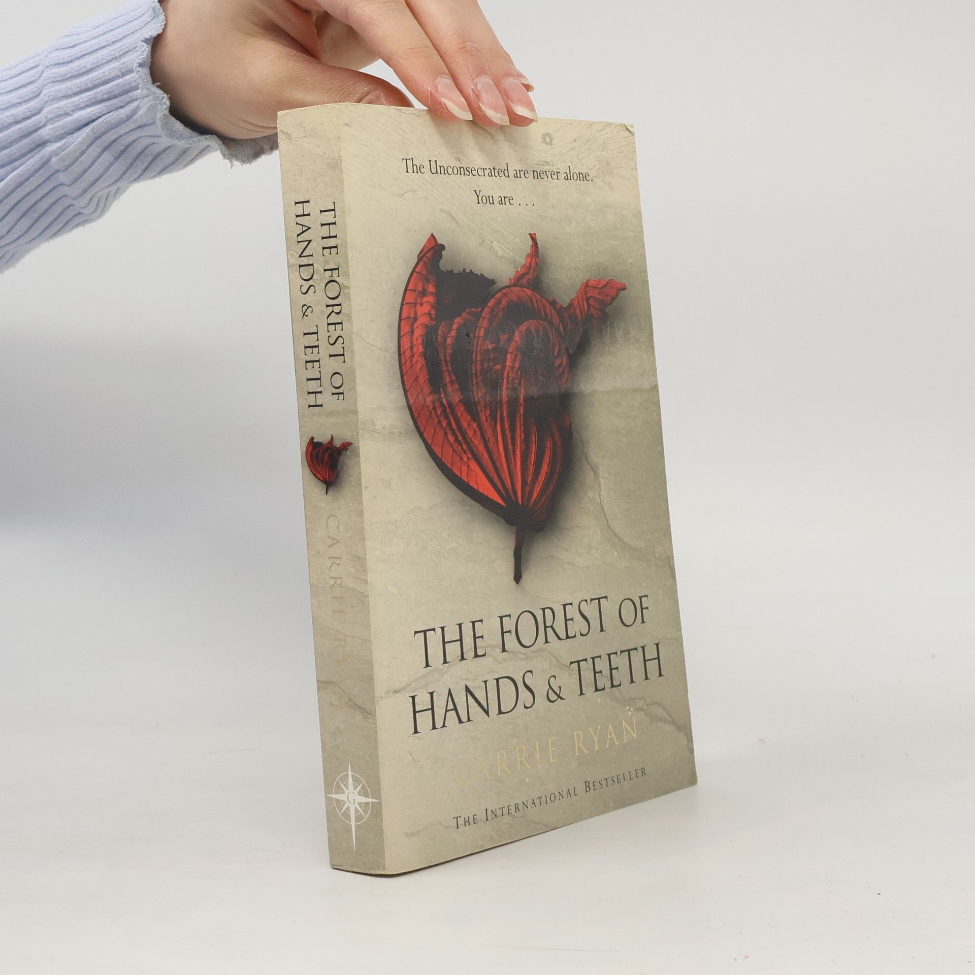 Carrie Ryan The Forest of Hands and Teeth