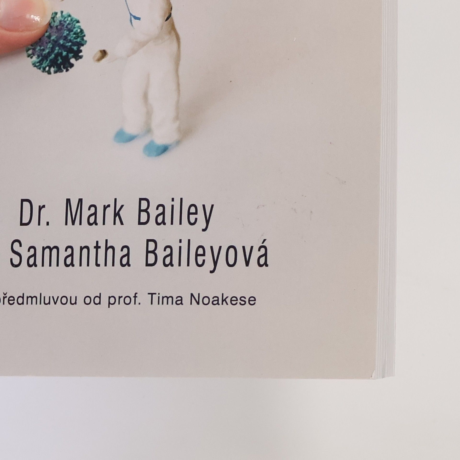 Mark Bailey Poslední pandemie