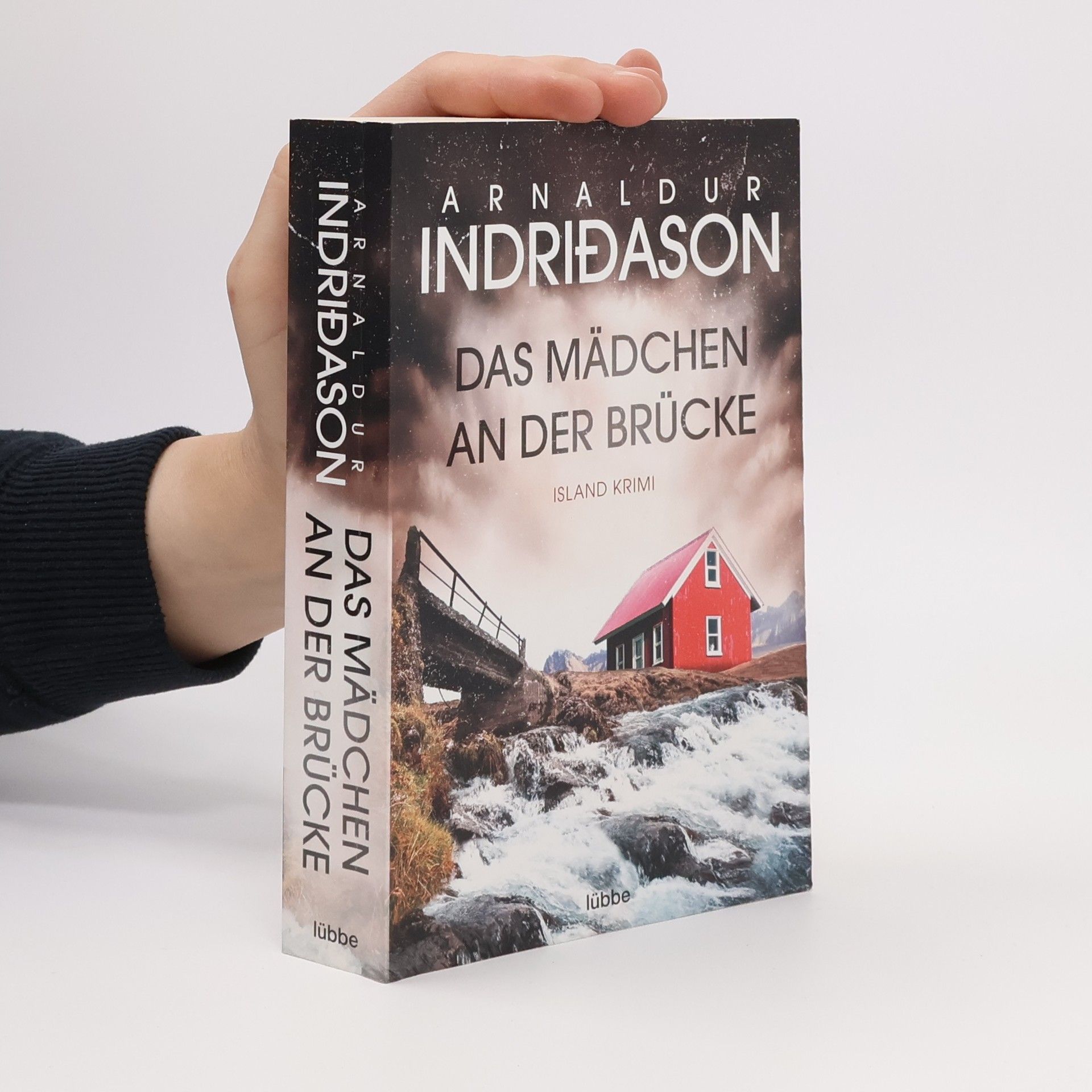 Arnaldur Indriðason Das Mädchen an der Brücke
