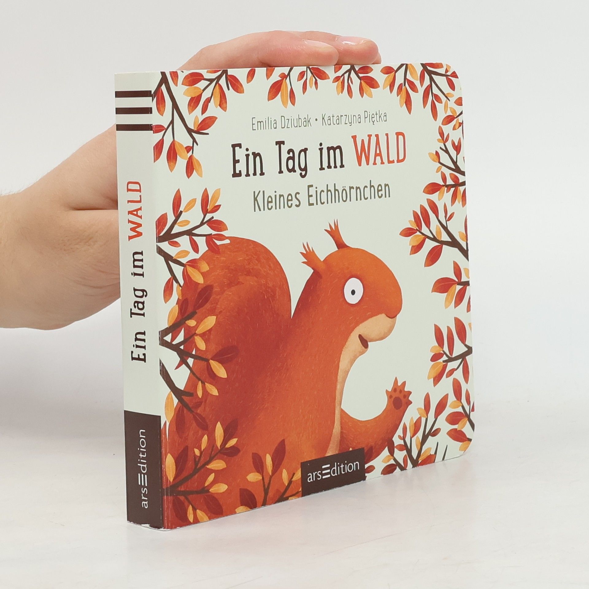 Emilia Dziubak Ein Tag im Wald: Kleines Eichhörnchen