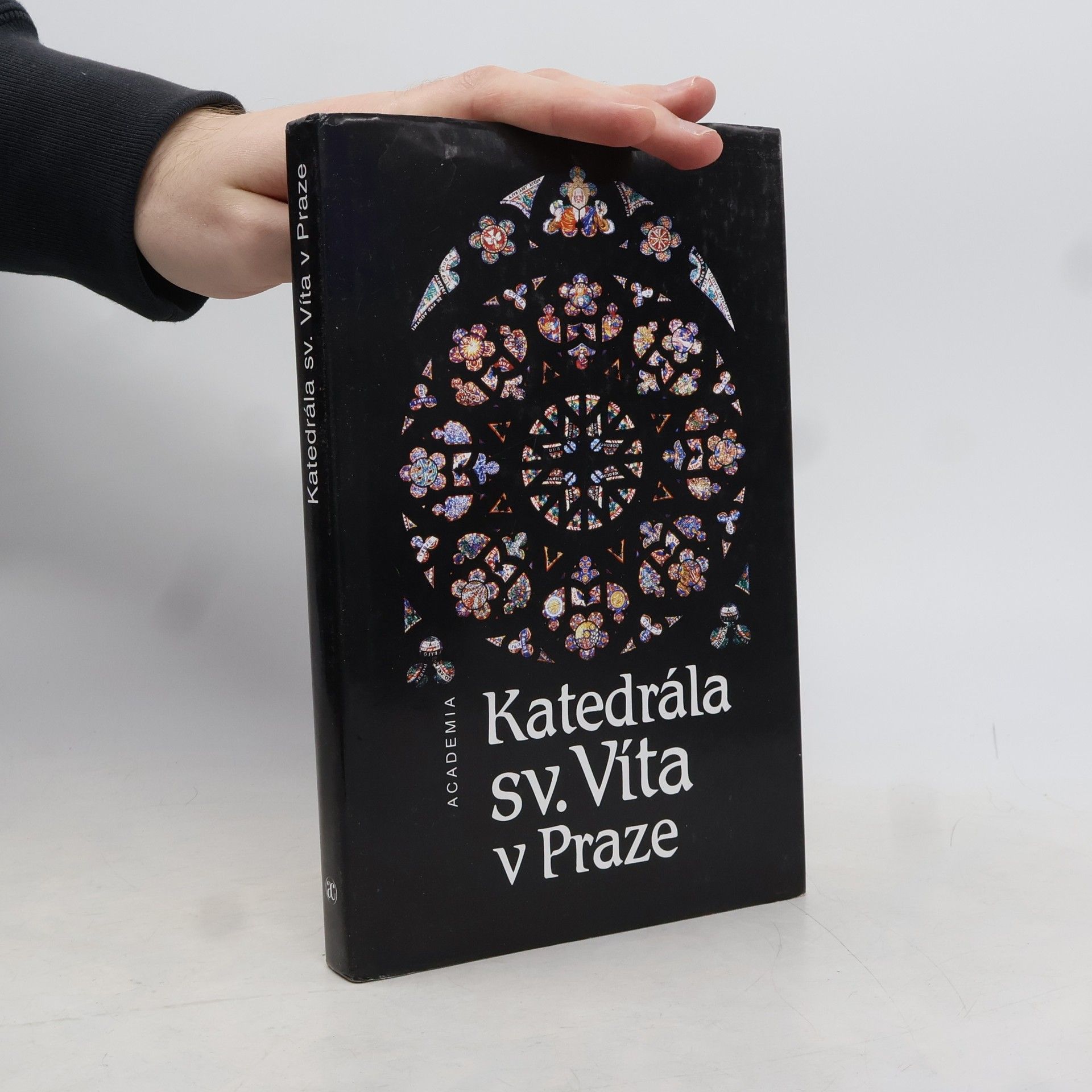 Prokop Paul Katedrála sv. Víta v Praze. K 650. výročí založení