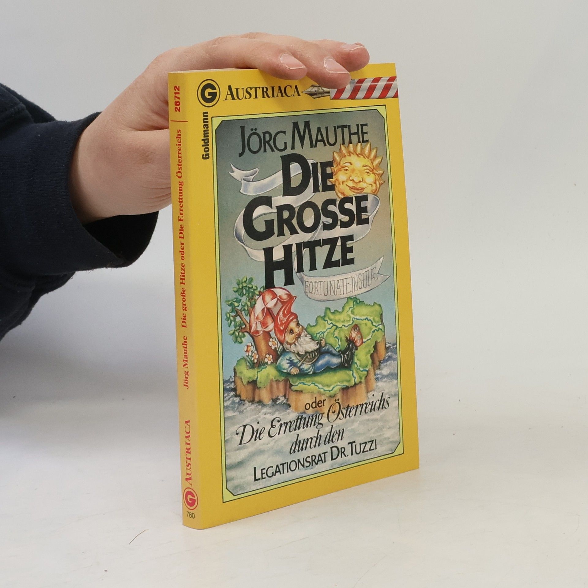 Jörg Mauthe Die große Hitze