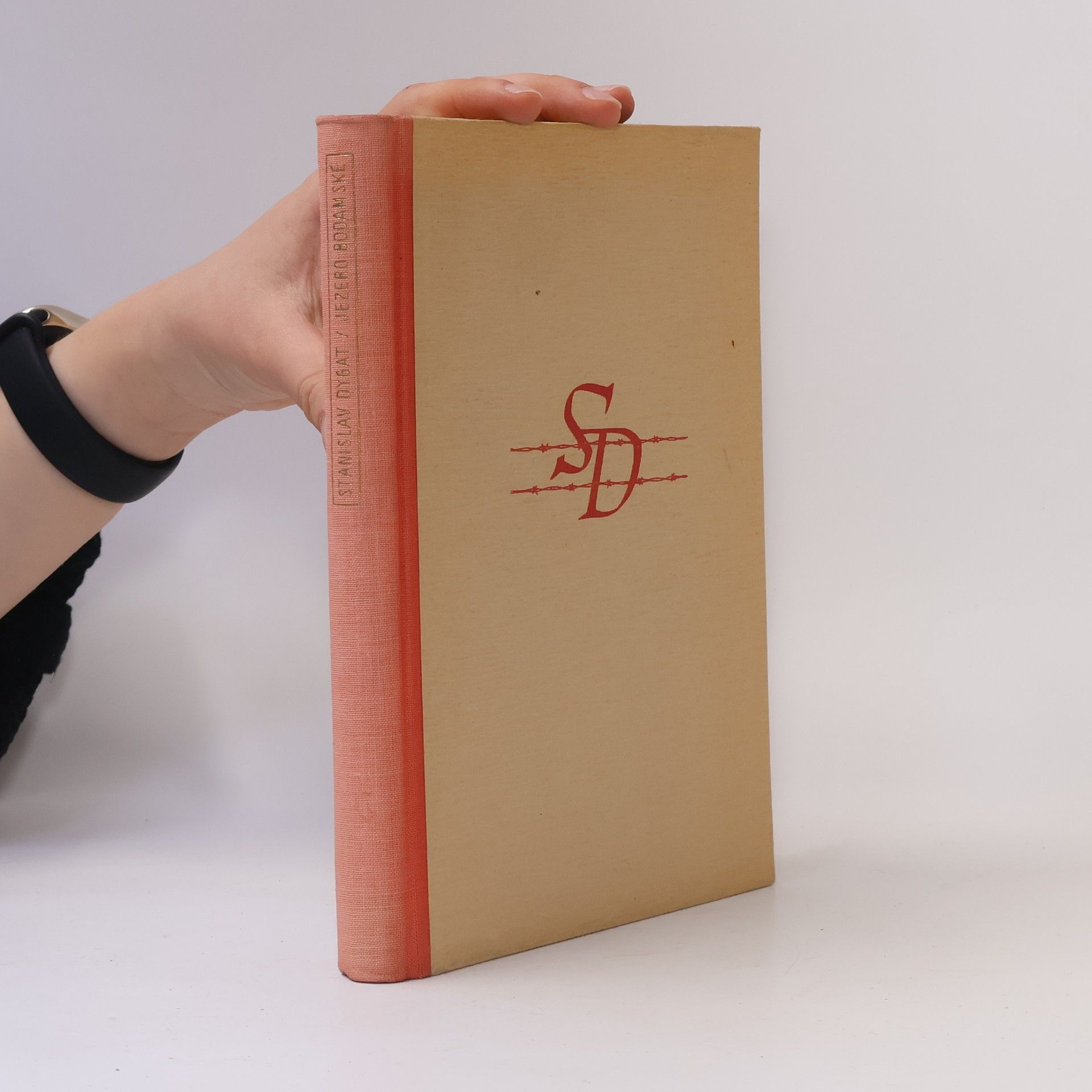 Stanisław Dygat Jezero Bodamské