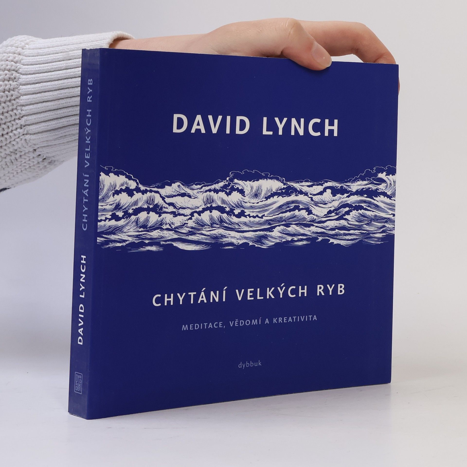 David Lynch Chytání velkých ryb