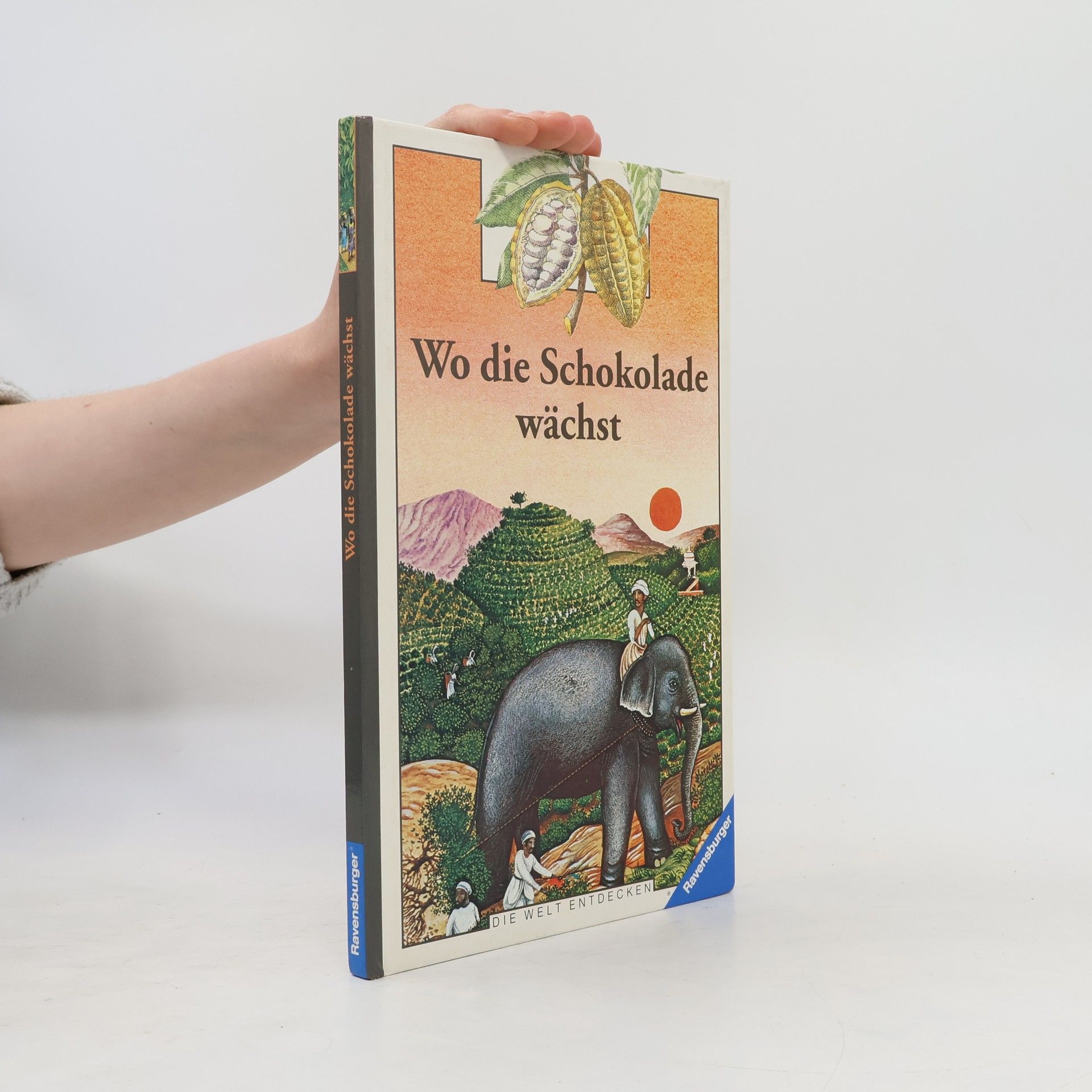 Die Welt entdecken: Wo die Schokolade wächst