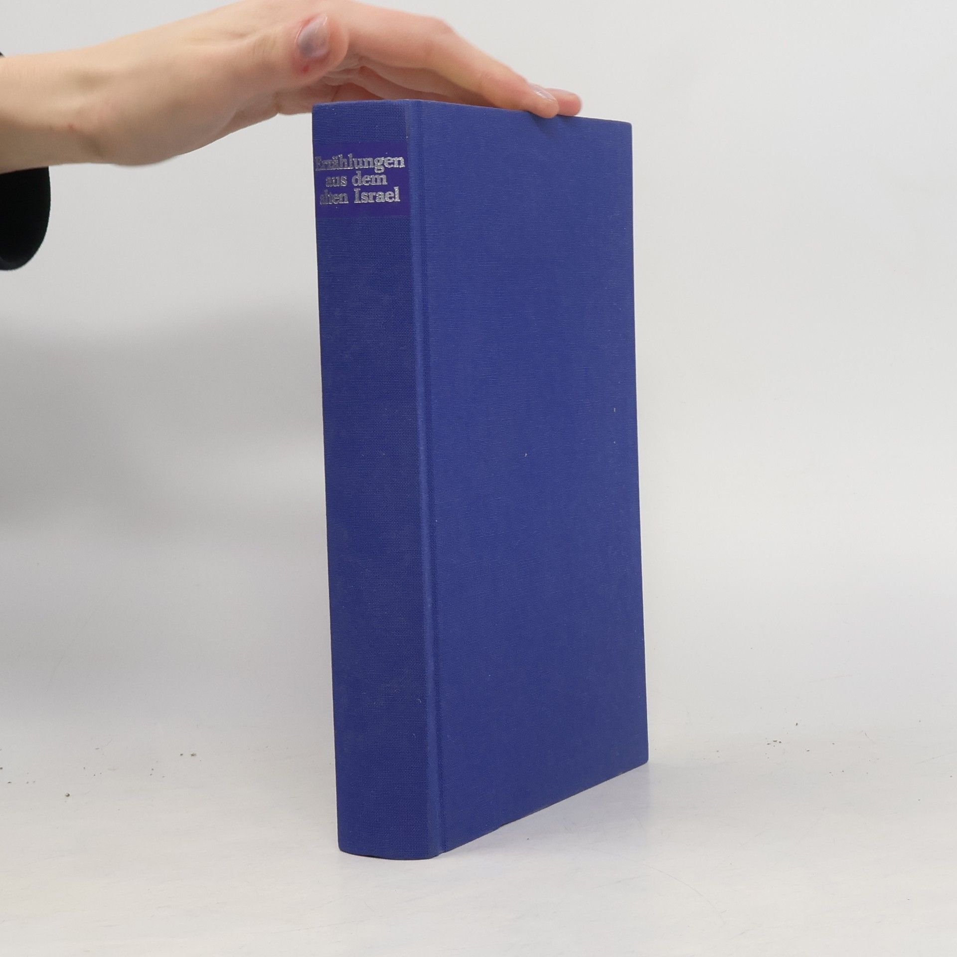 Autorenkollektiv Erzählungen aus dem alten Israel