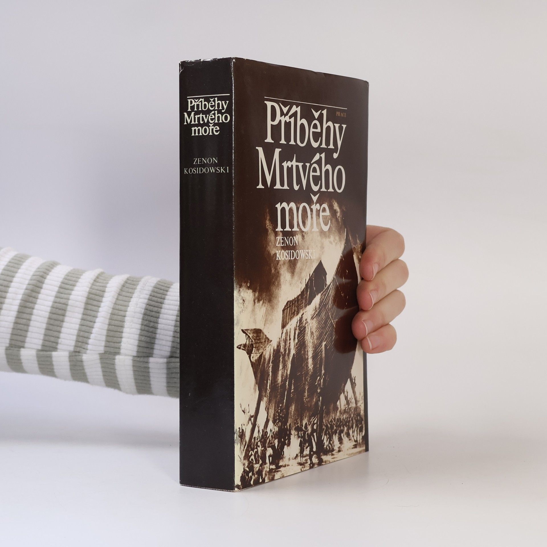 Zenon Kosidowski Příběhy Mrtvého moře