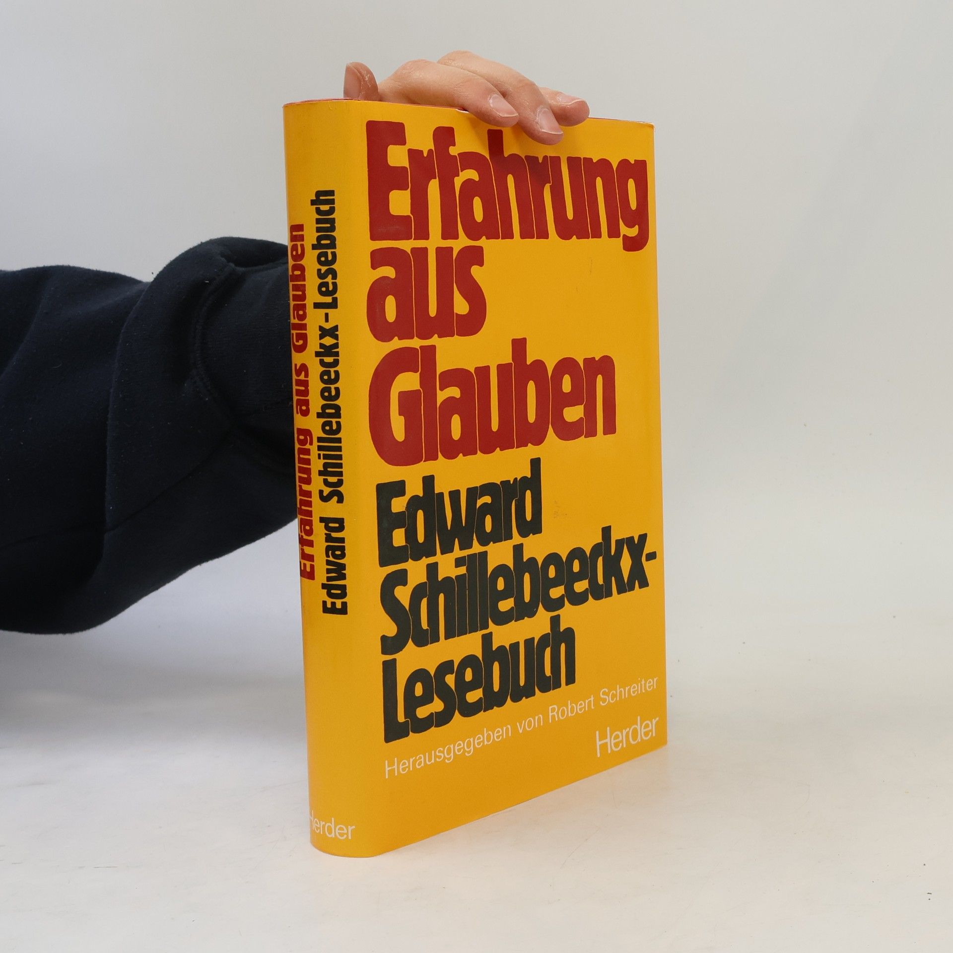 Edward Schillebeeckx Erfahrung aus Glauben