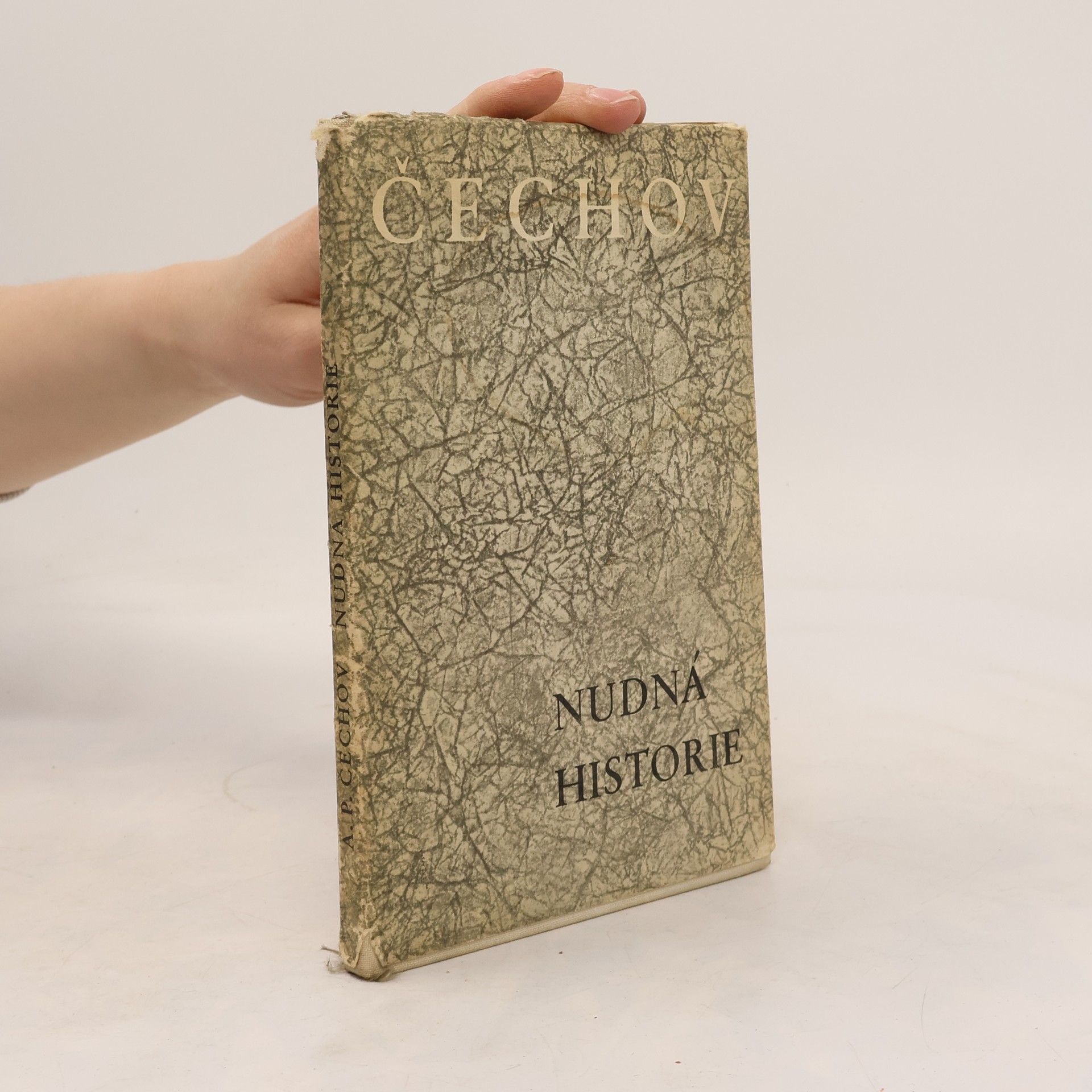 Anton Pawlowitsch Tschechow Nudná historie