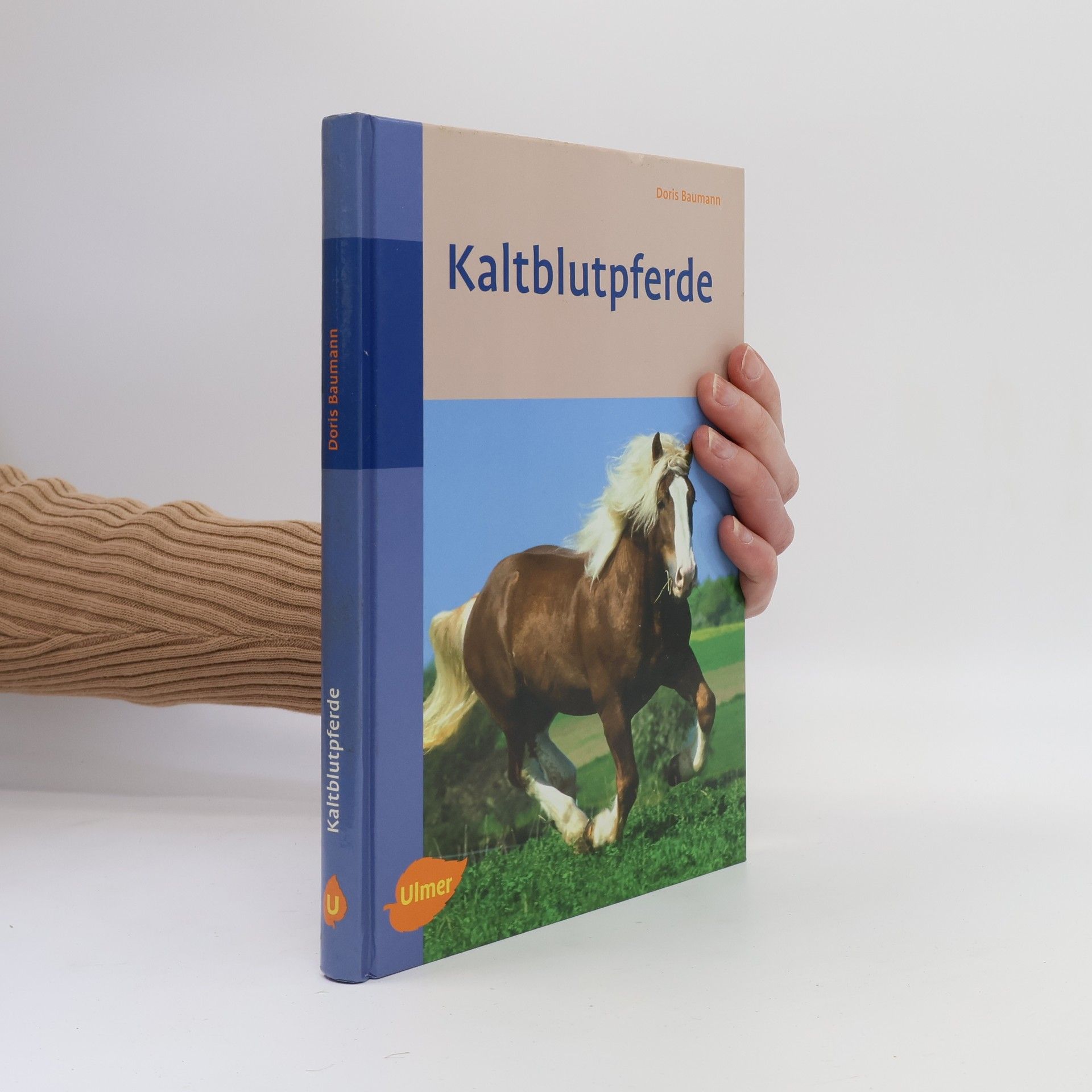 Doris Baumann Kaltblutpferde