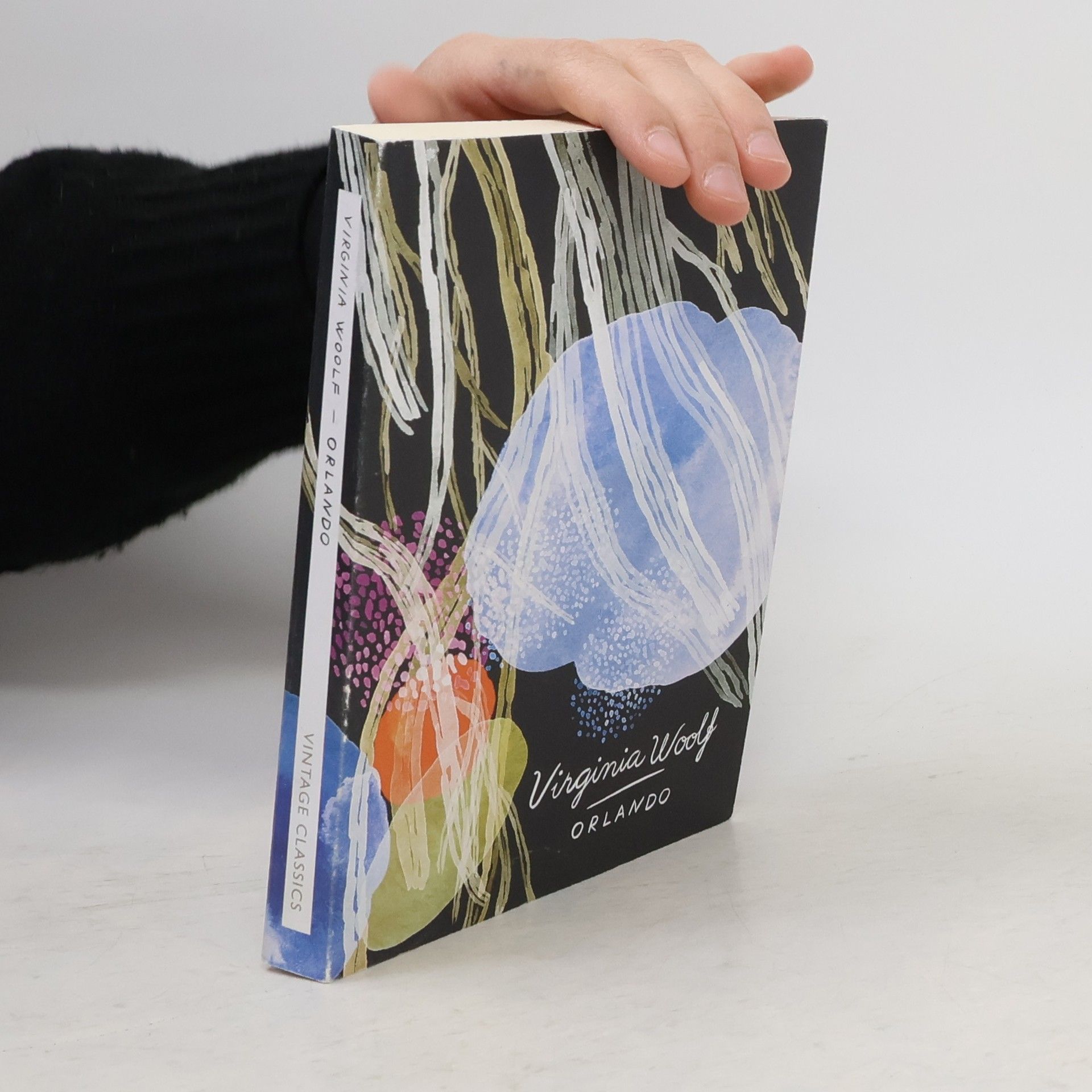 Virginia Woolf Orlando