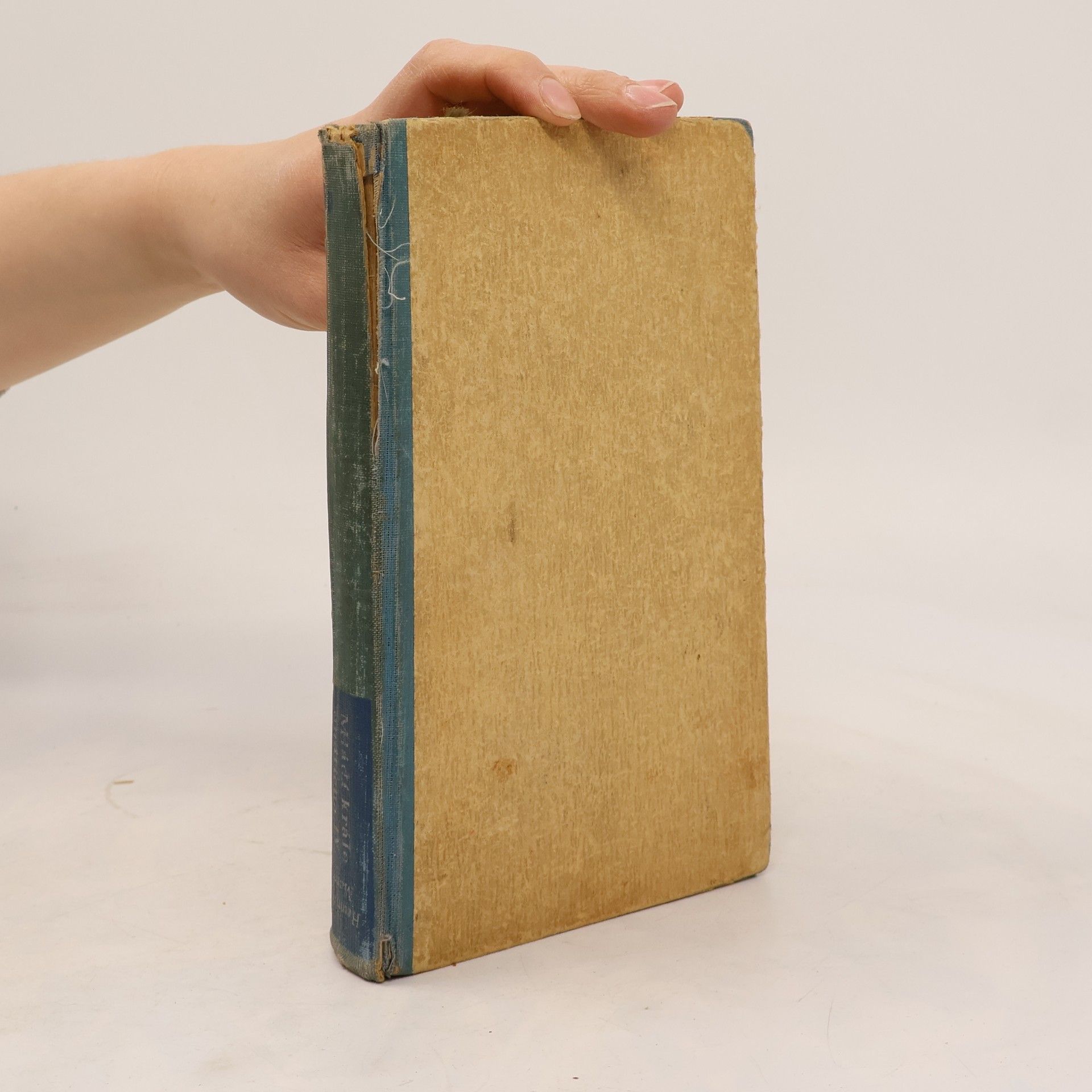 Heinrich Mann Mládí krále Jindřicha Čtvrtého