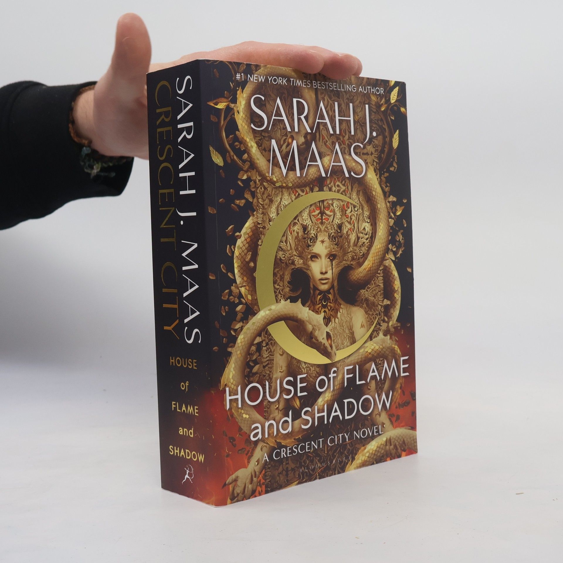 Sarah J. Maas House of Flame and Shadow