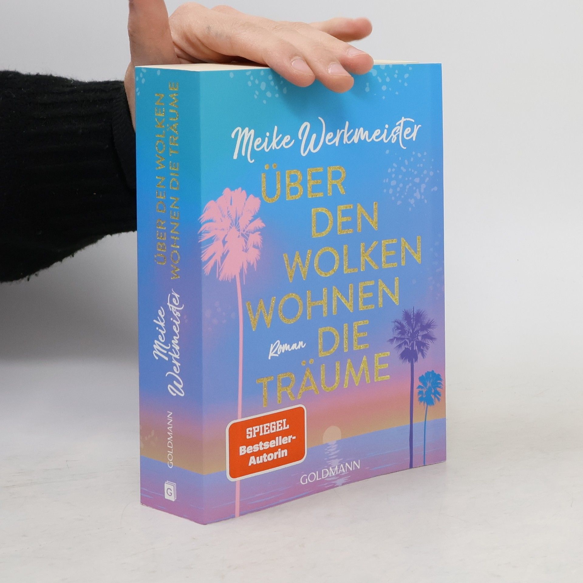 Meike Werkmeister Über den Wolken wohnen die Träume