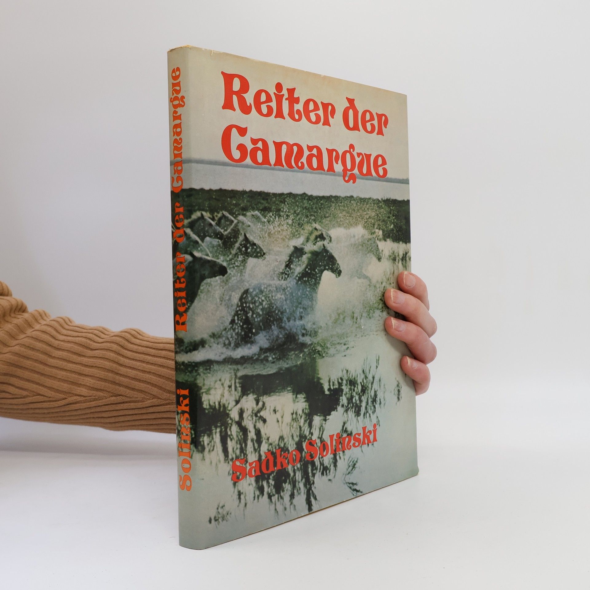 Sadko Günter Solinski Reiter der Camargue