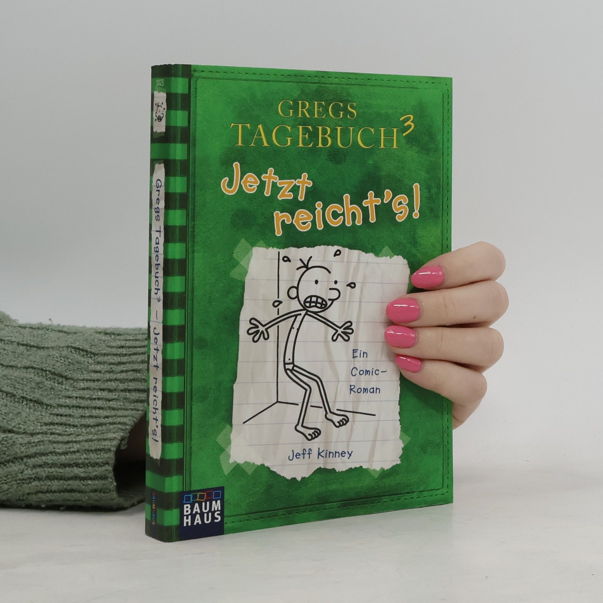 Jeff Kinney Gregs Tagebuch 3. Jetzt reicht's!