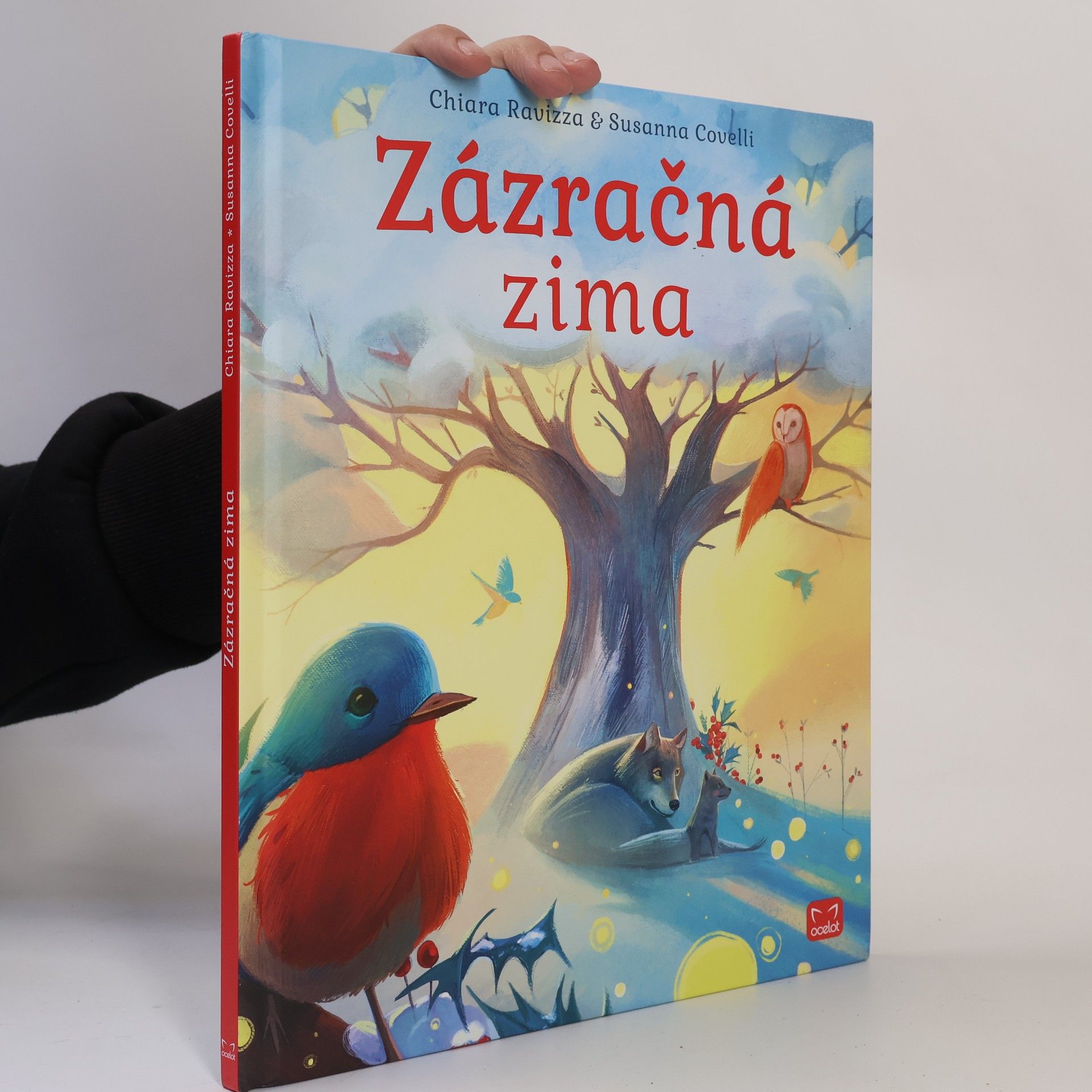 Chiara Ravizza Zázračná zima