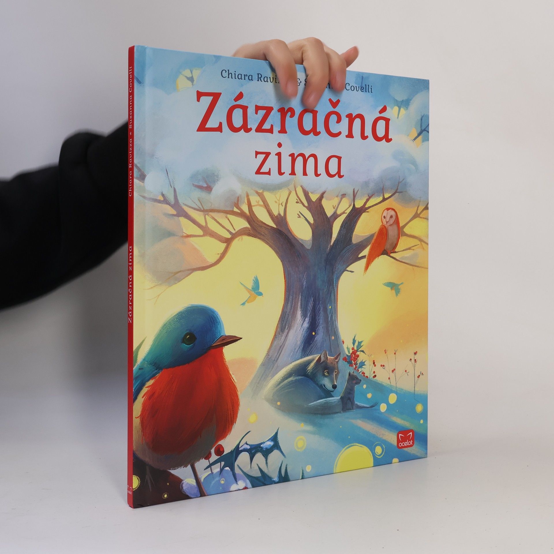 Chiara Ravizza Zázračná zima