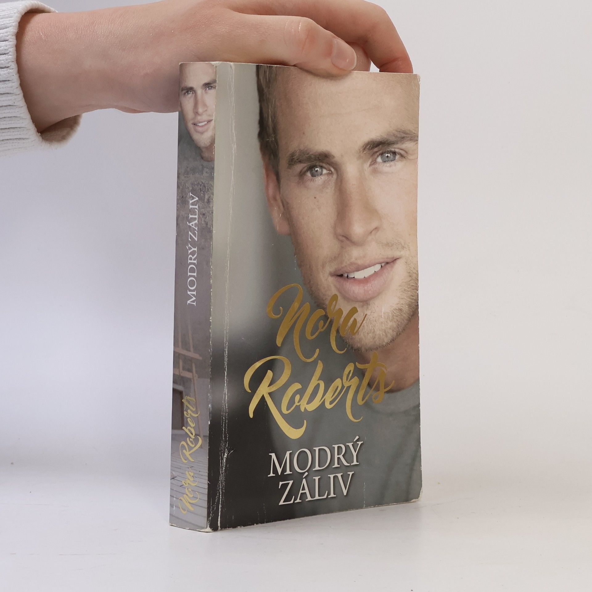 Nora Roberts Modrý záliv