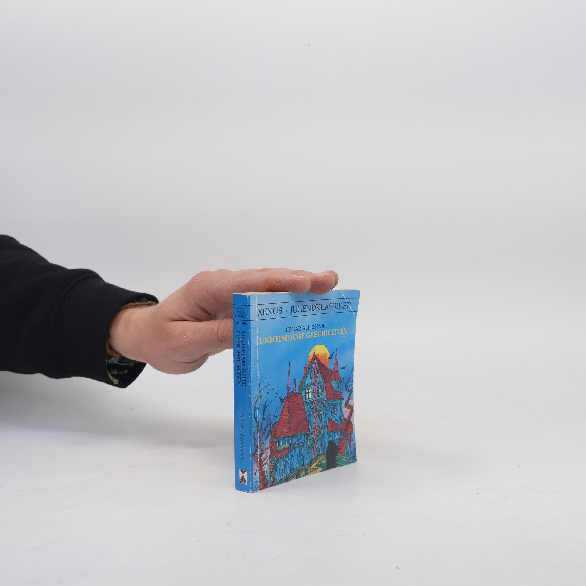 Edgar Allan Poe Unheimliche Geschichten