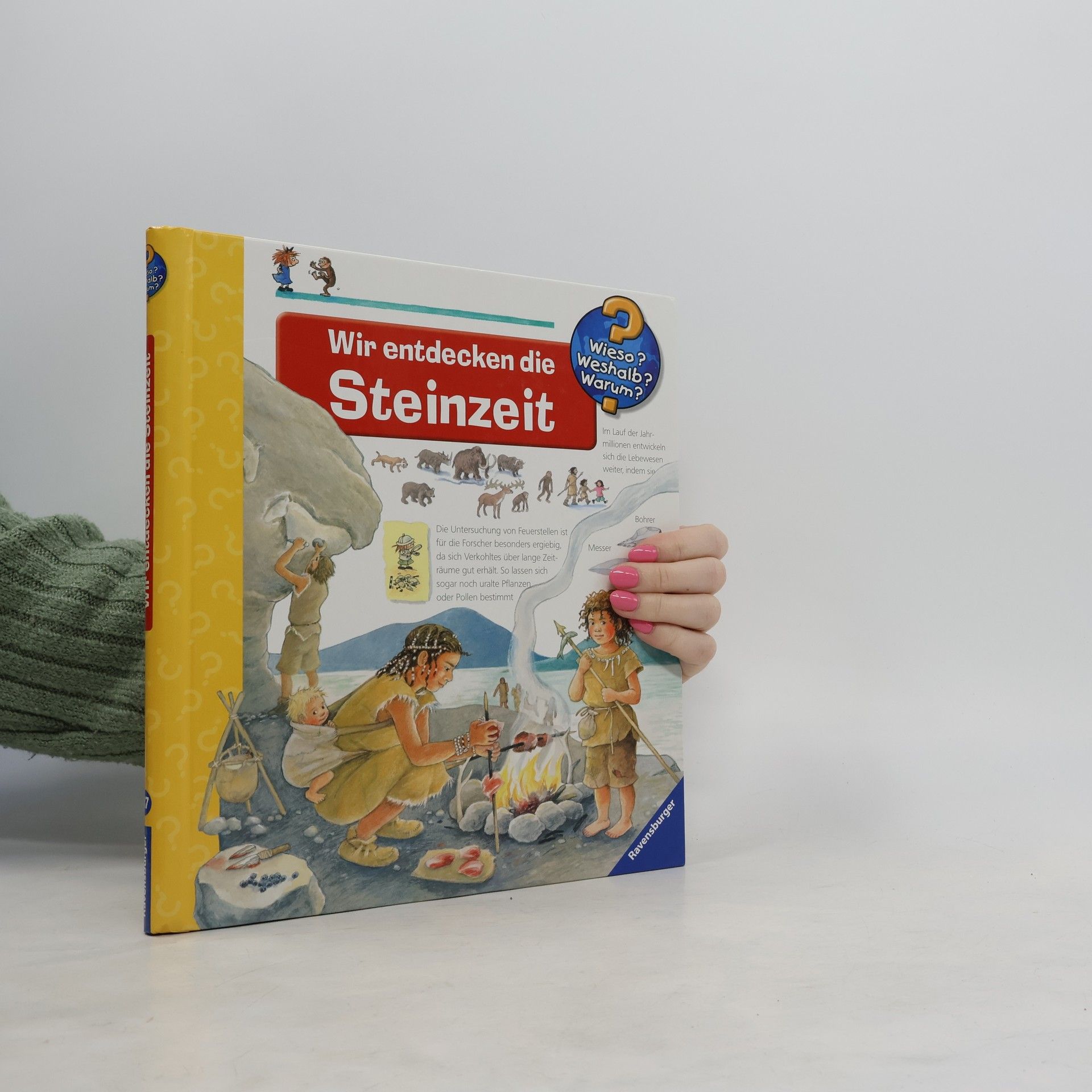 Doris Rübel Wir entdecken die Steinzeit