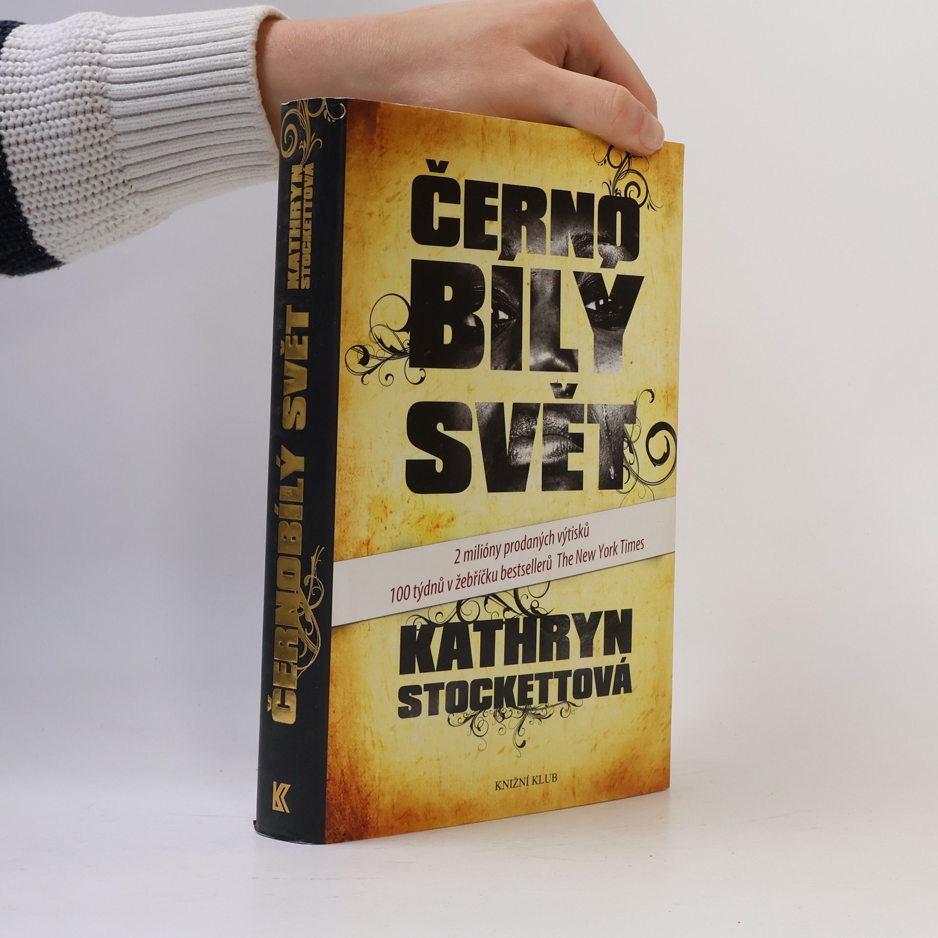 Kathryn Stockett Černobílý svět