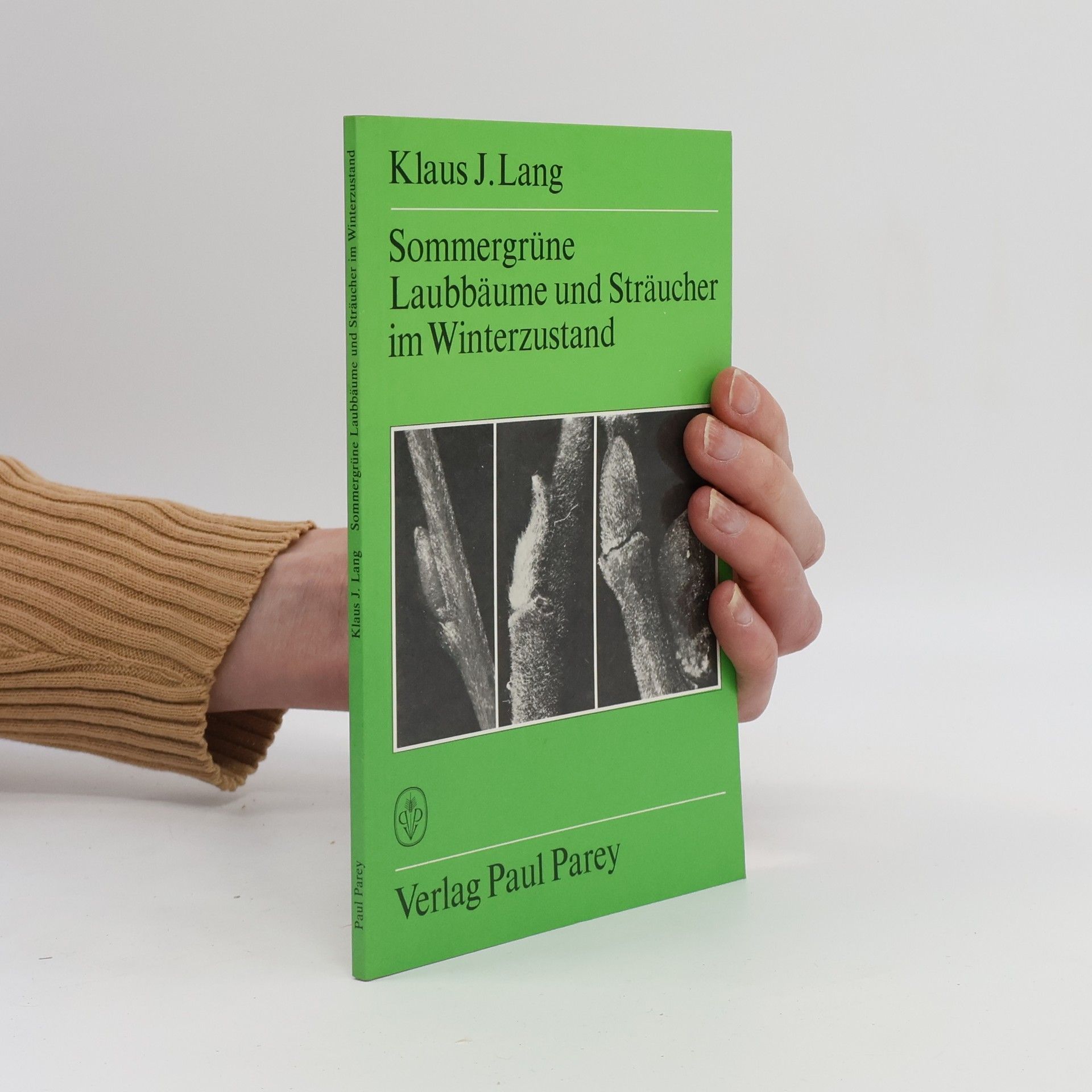 Klaus J. Lang Sommergrüne Laubbäume und Sträucher im Winterzustand