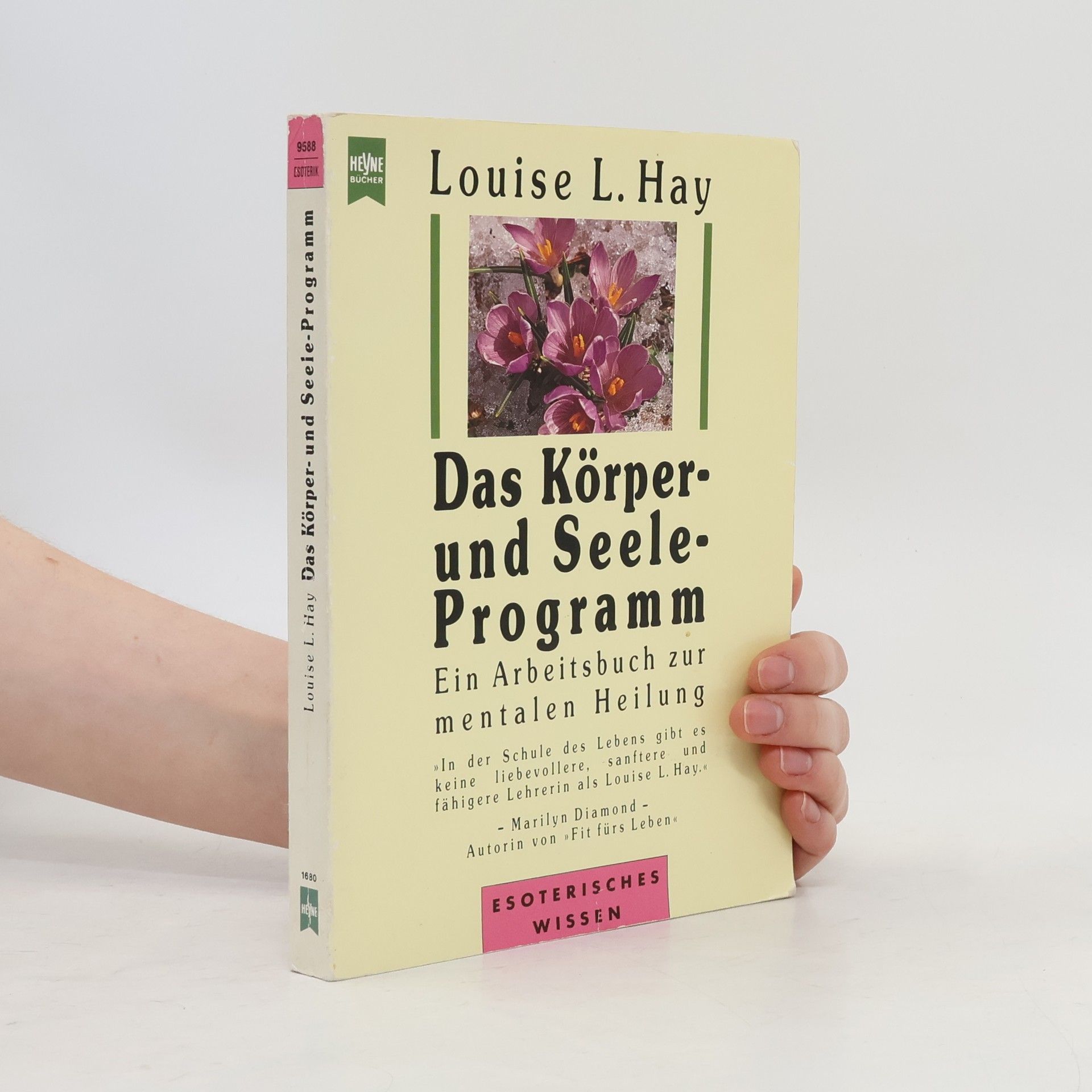 Lousie L. Hay Das Körper- und Seele-Programm