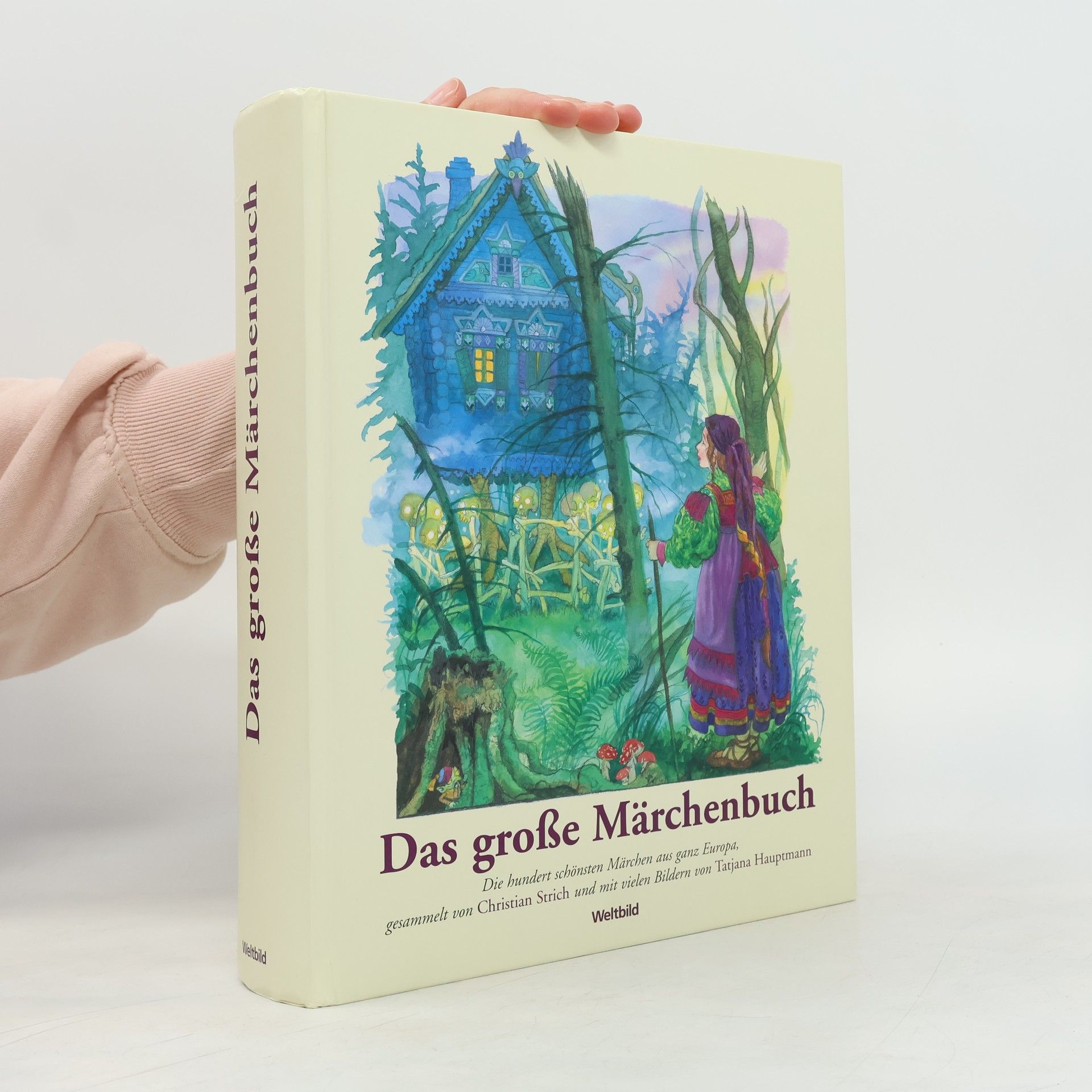 Das große Märchenbuch