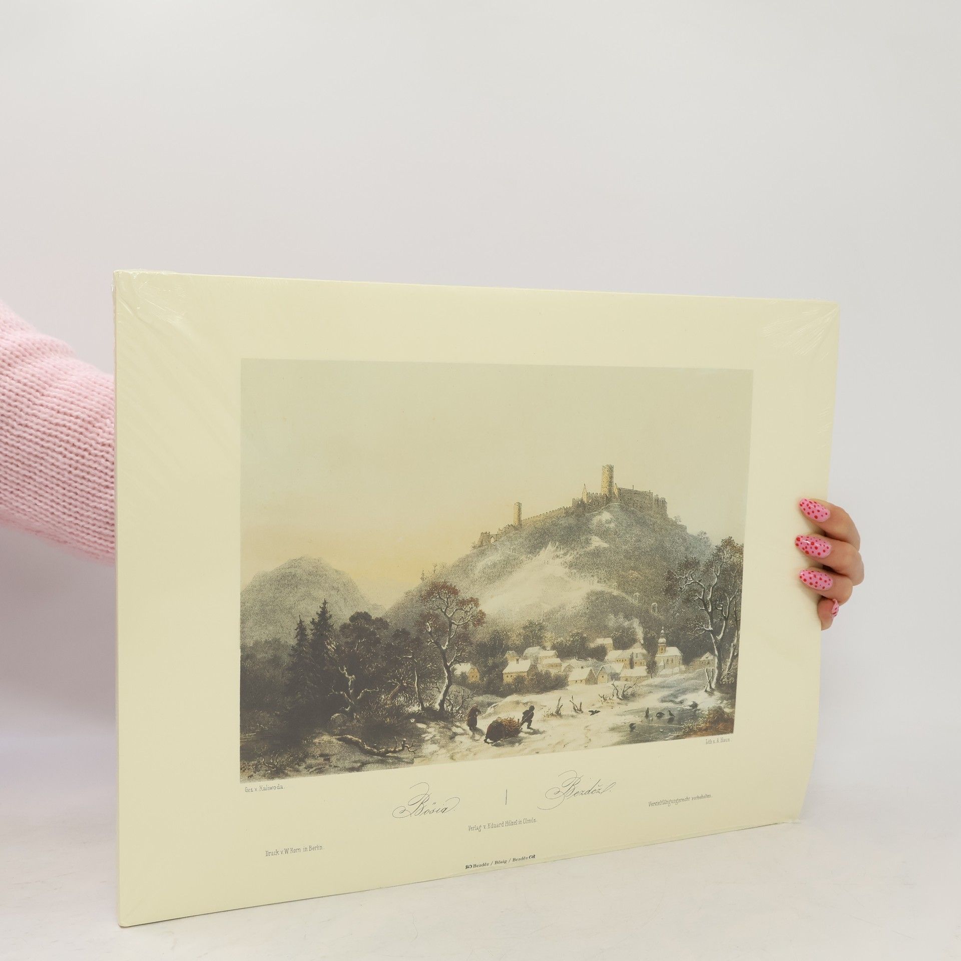 August C. Haun Album vedut Království českého