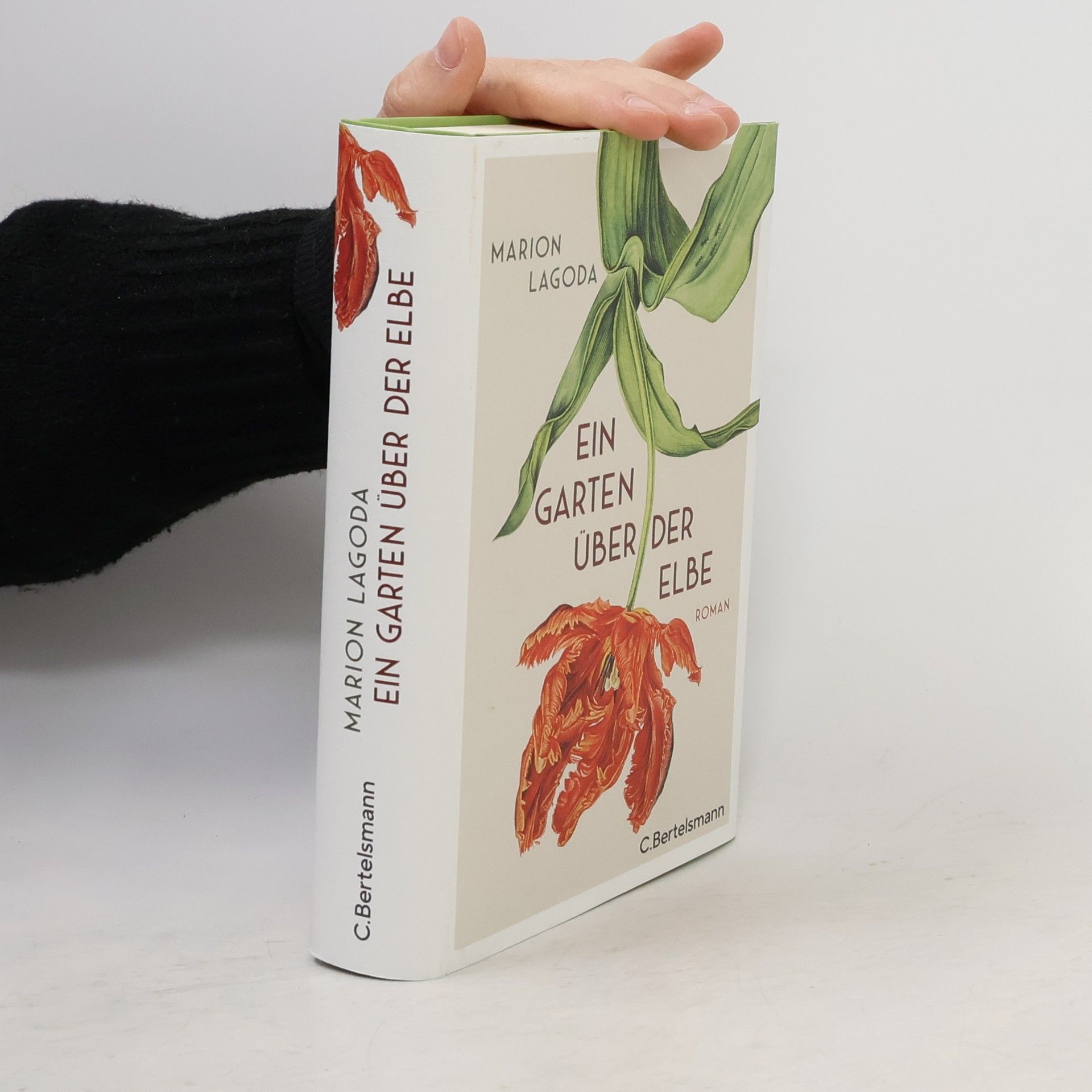 Marion Lagoda Ein Garten über der Elbe