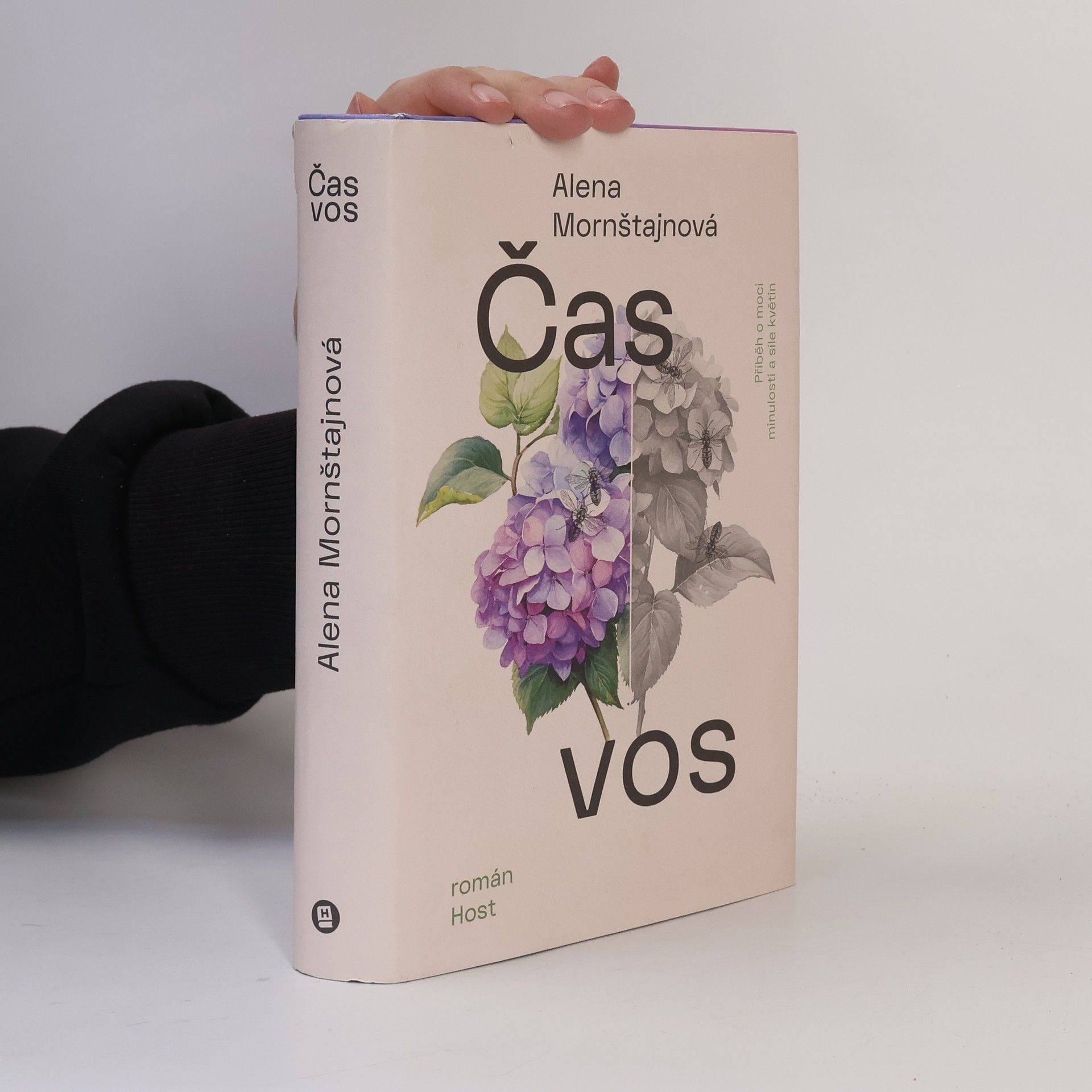 Alena Mornštajnová Čas vos
