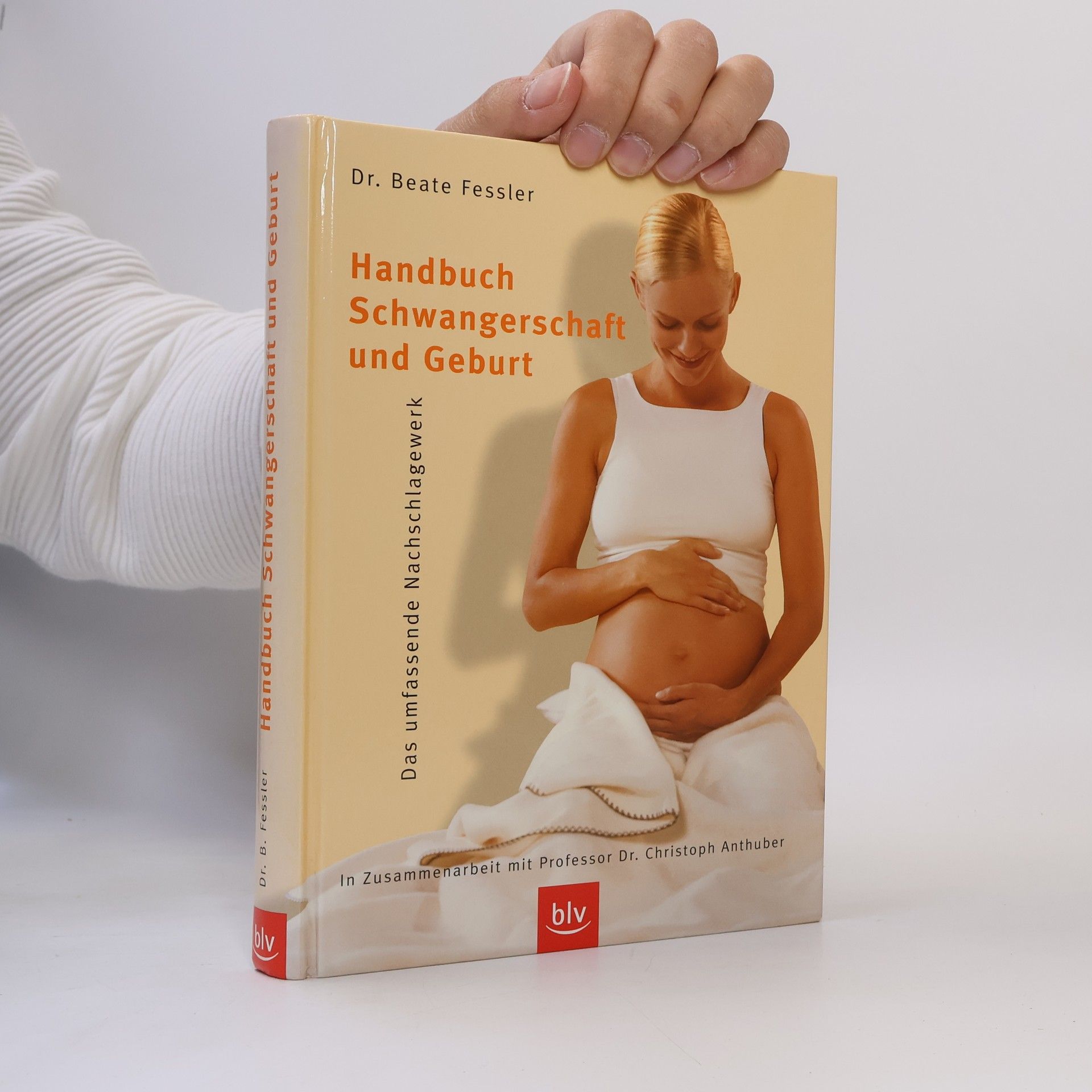 Beate Fessler Handbuch Schwangerschaft und Geburt