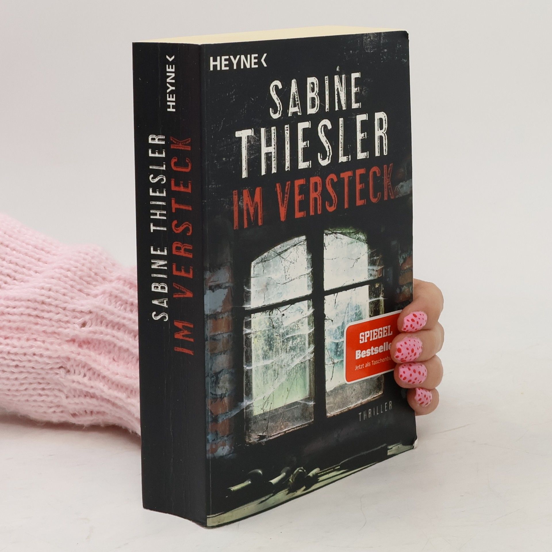 Sabine Thiesler Im Versteck