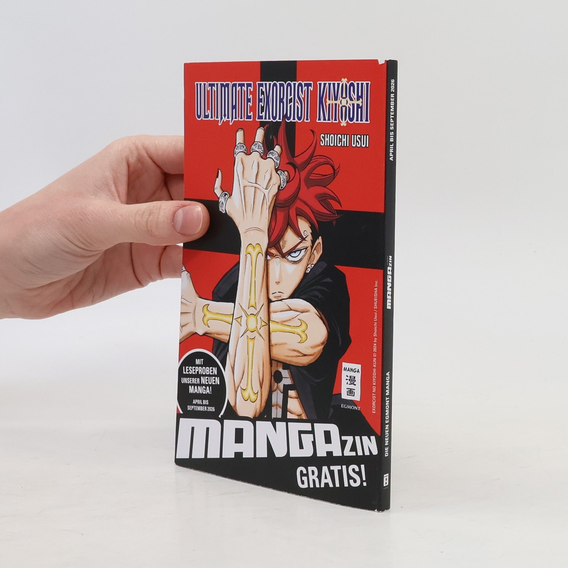 Shoichi Usui Ultimate Exorcist Kiyoshi