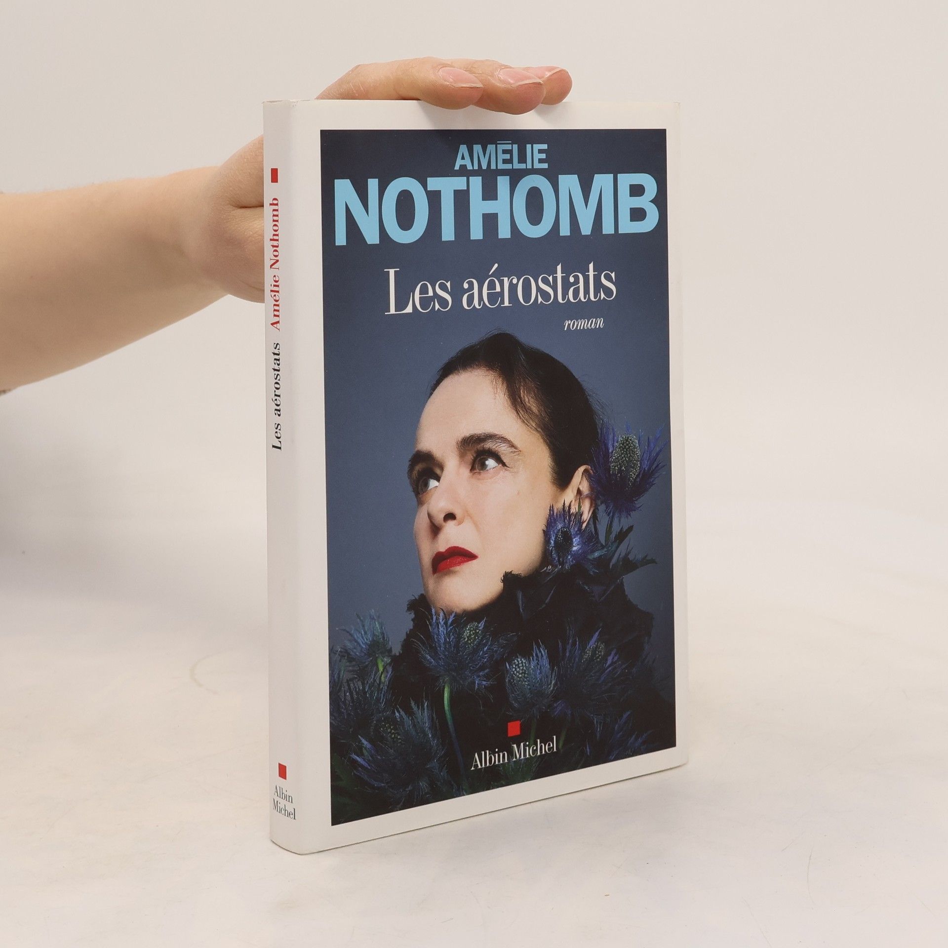 Amélie Nothomb Les Aérostats