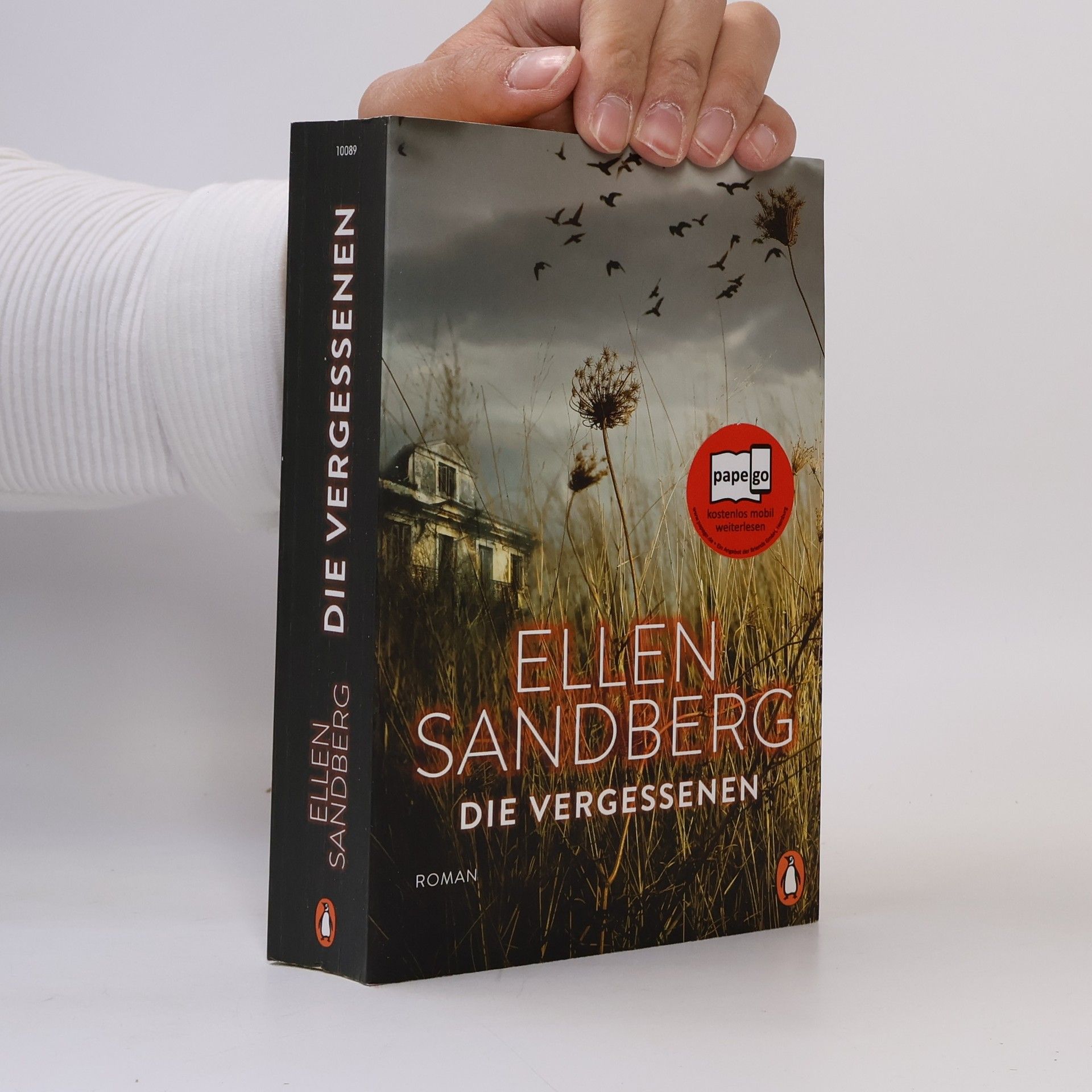 Ellen Sandberg Die Vergessenen