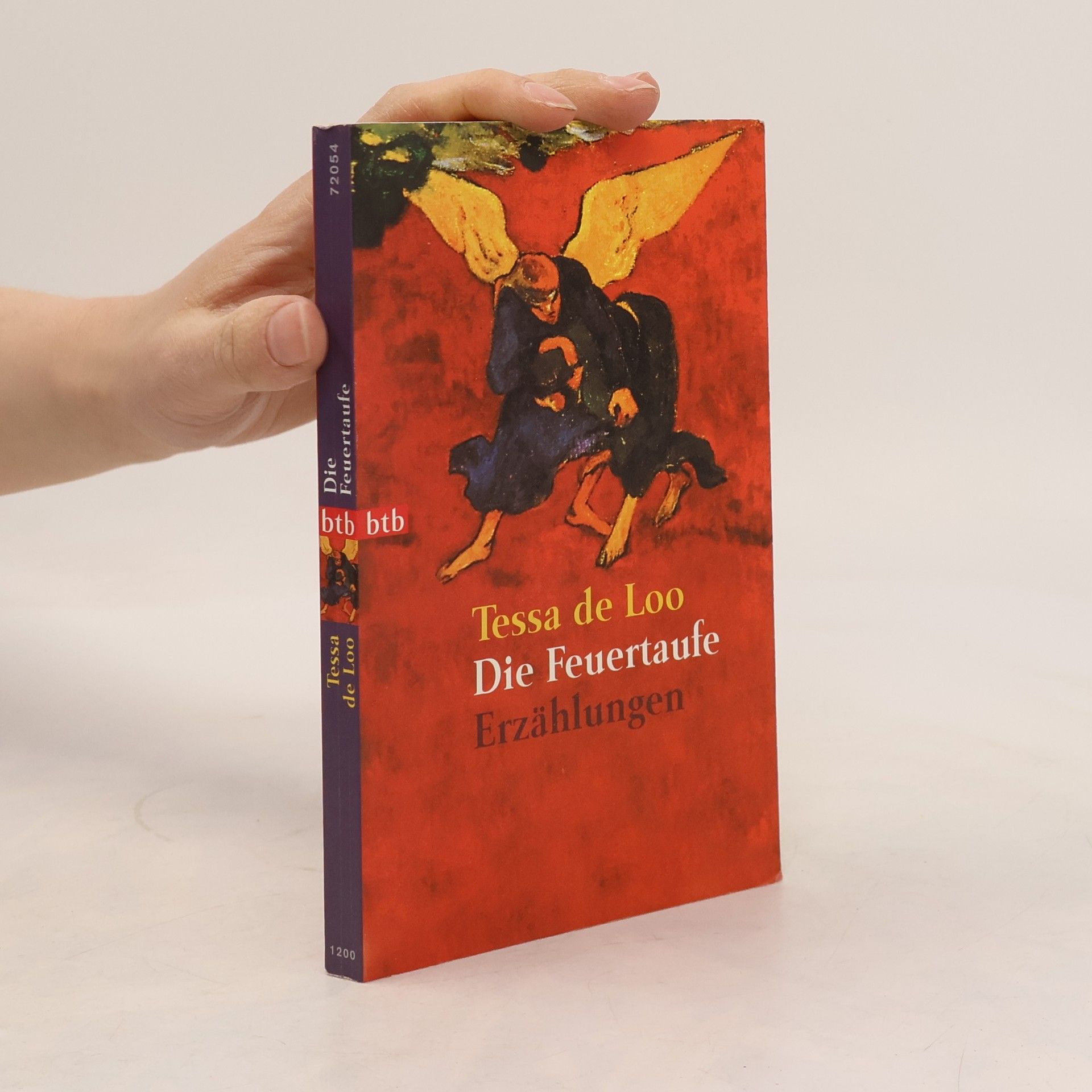 Tessa de Loo Die Feuertaufe. Erzählungen