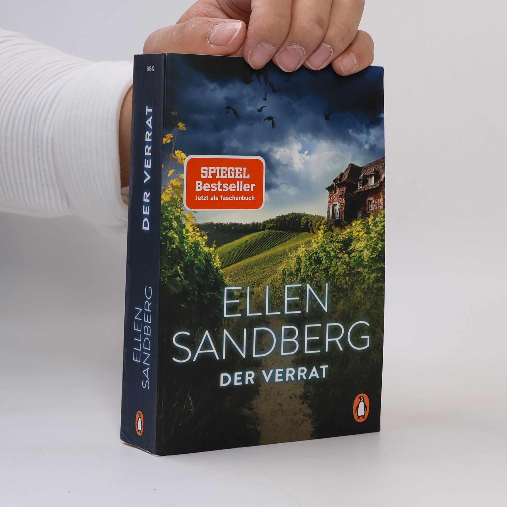 Ellen Sandberg Der Verrat