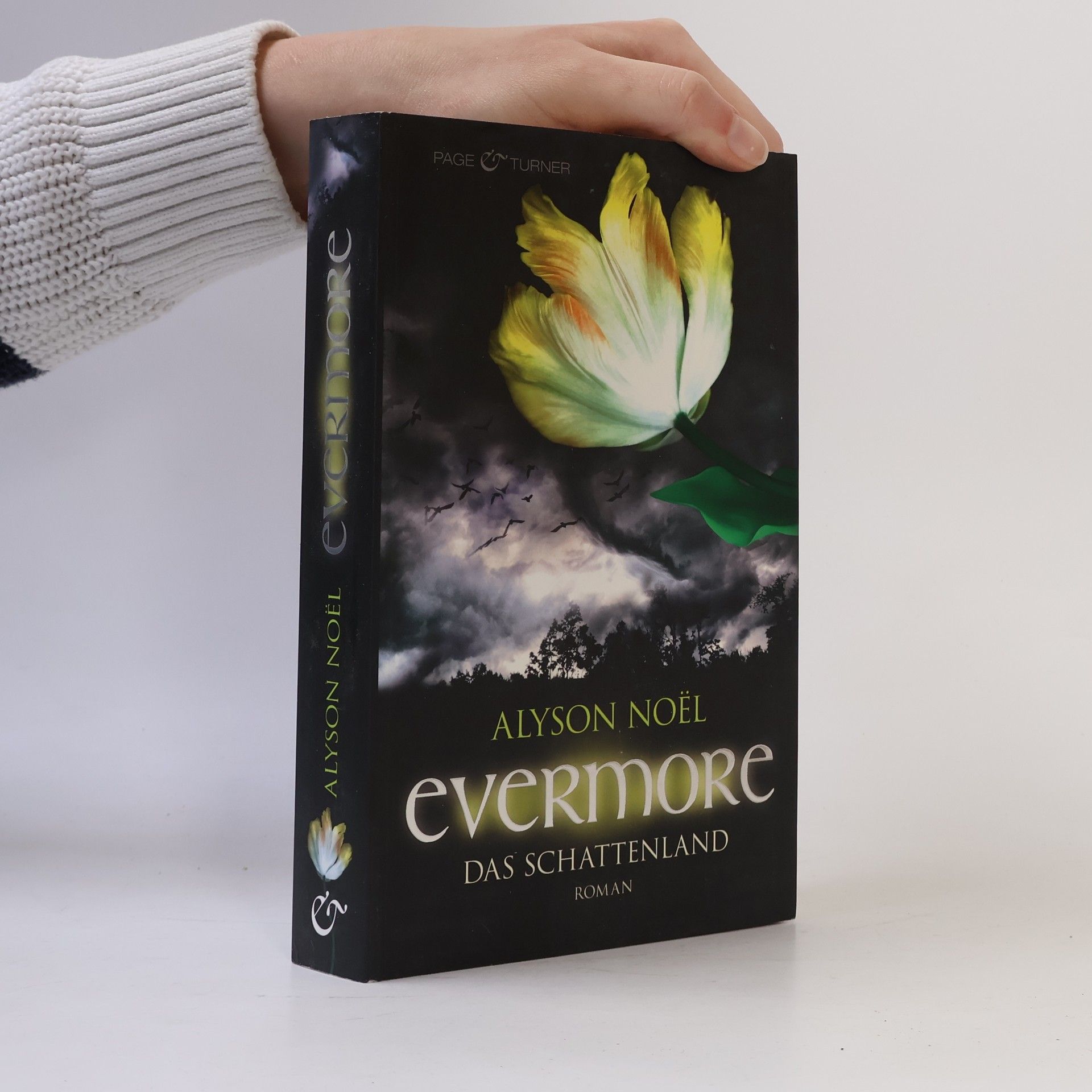 Alyson Noë͏l Evermore: Das Schattenland