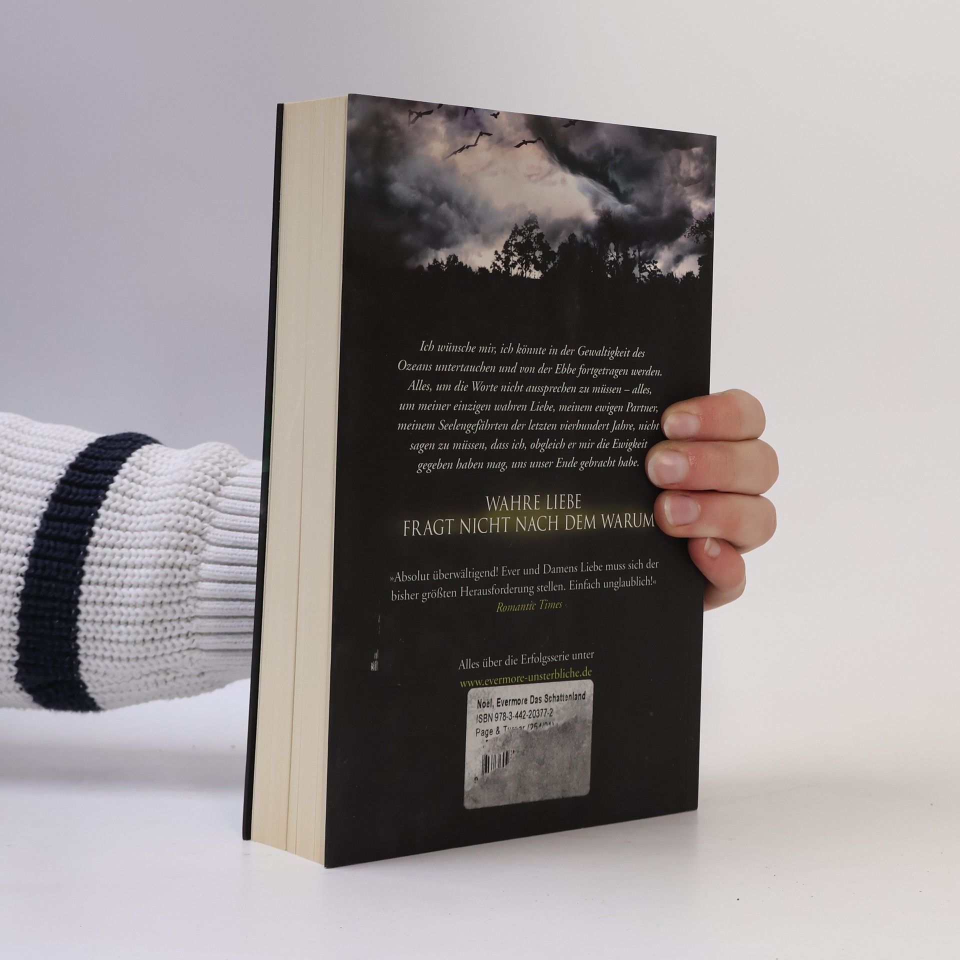 Alyson Noë͏l Evermore: Das Schattenland