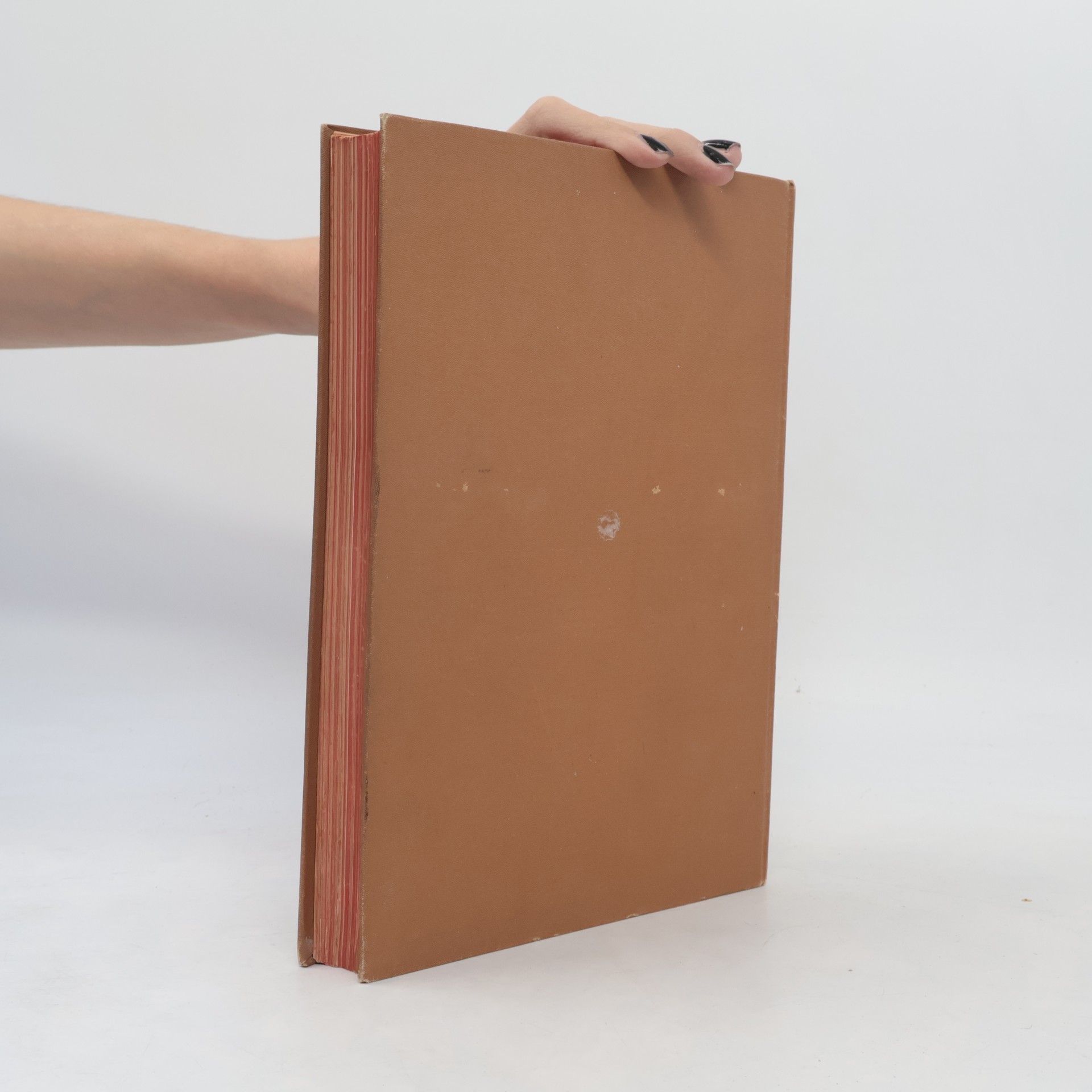 Anton Heinrich Springer Handbuch der Kunstgeschichte IV. Neuere Zeit II. Teil
