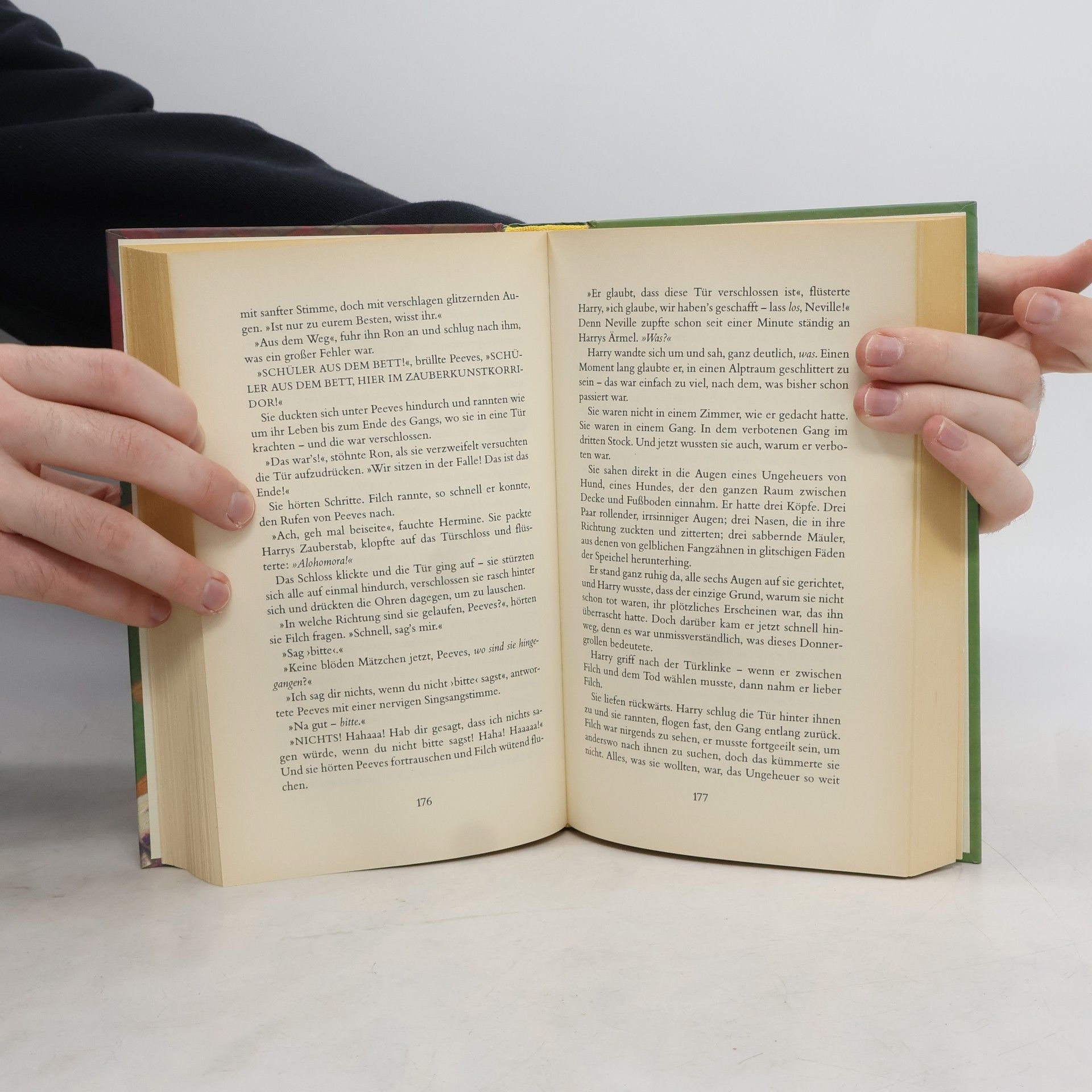 J. K. Rowling Harry Potter und der Stein der Weisen