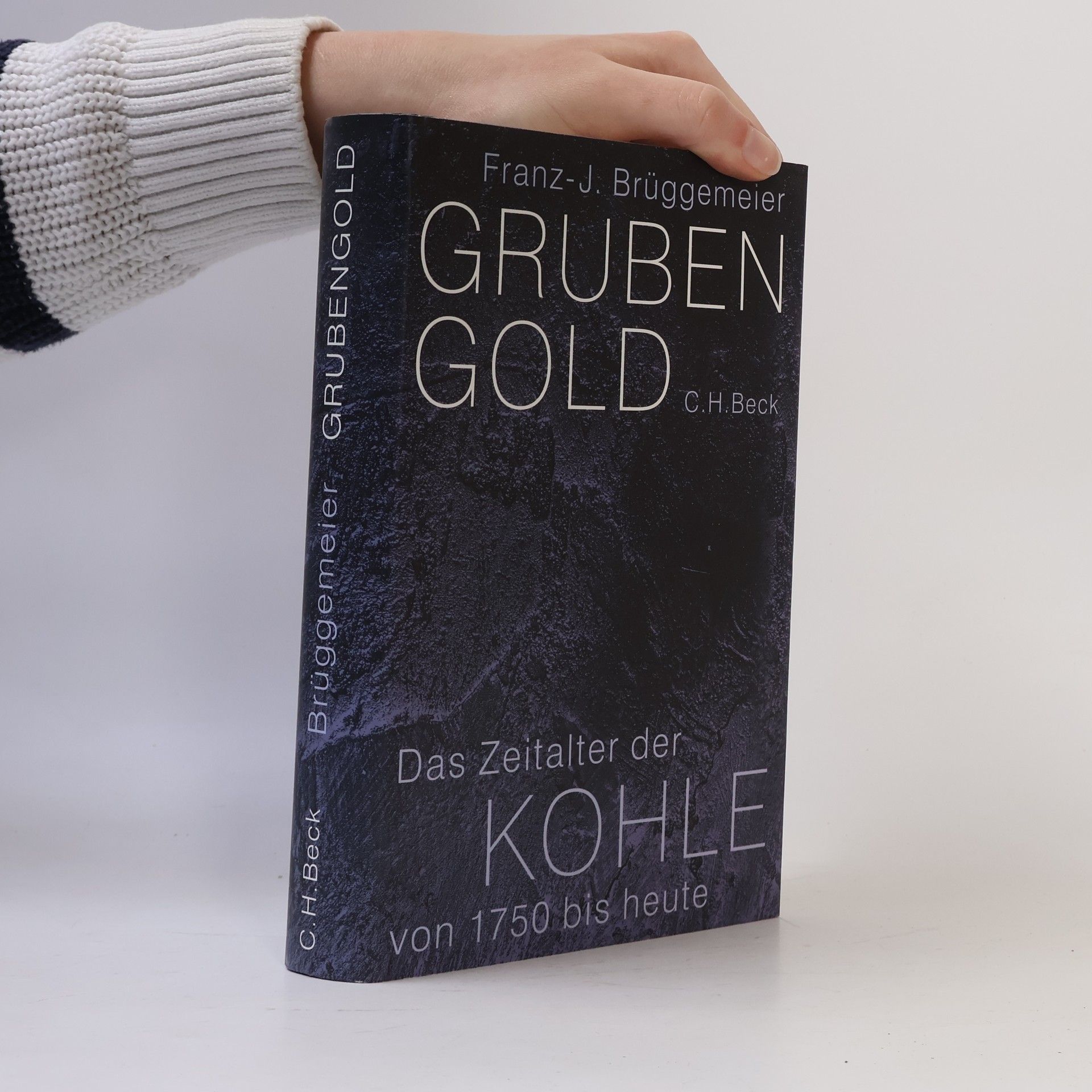 Franz-Josef Brüggemeier Grubengold