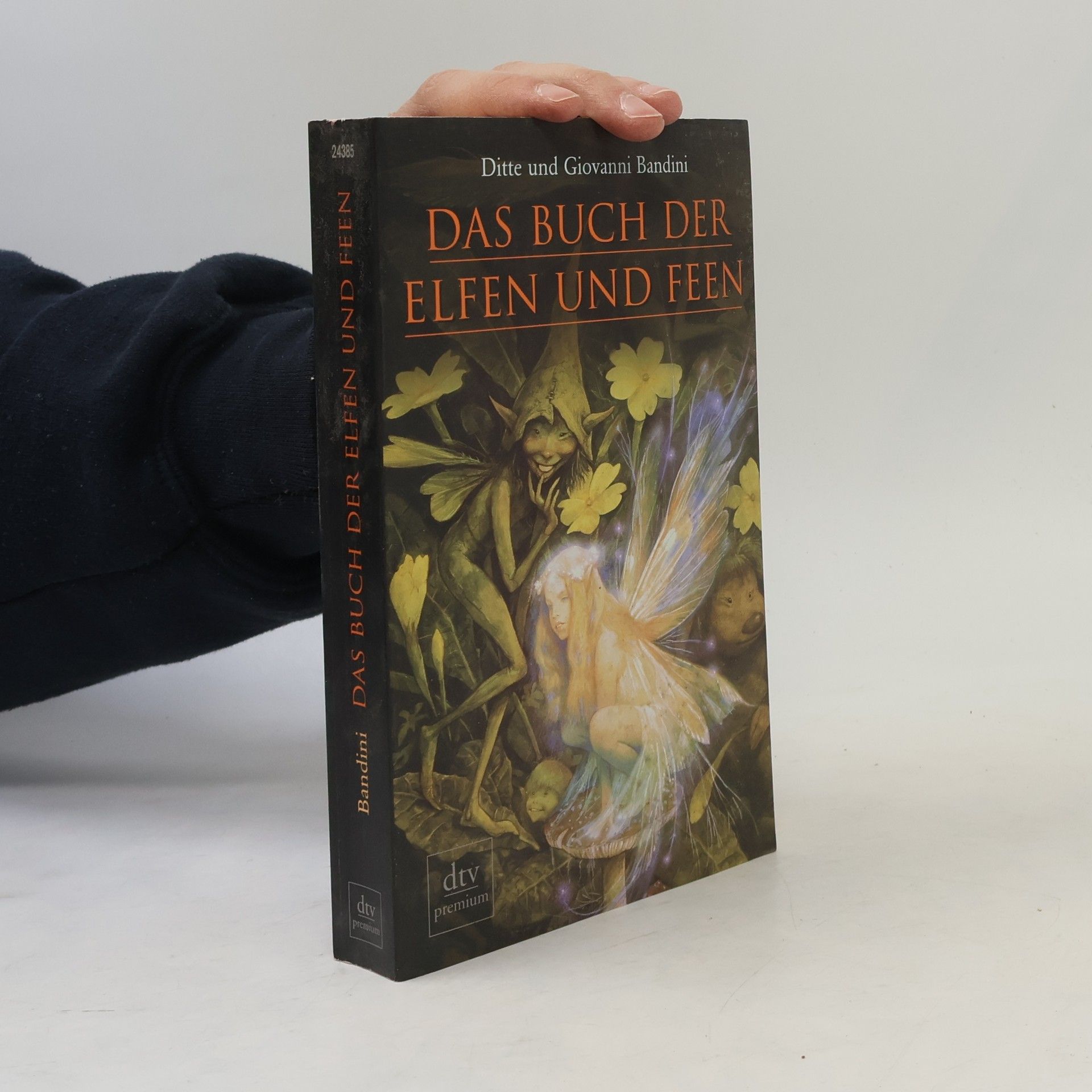 Ditte Bandini Das Buch der Elfen und Feen