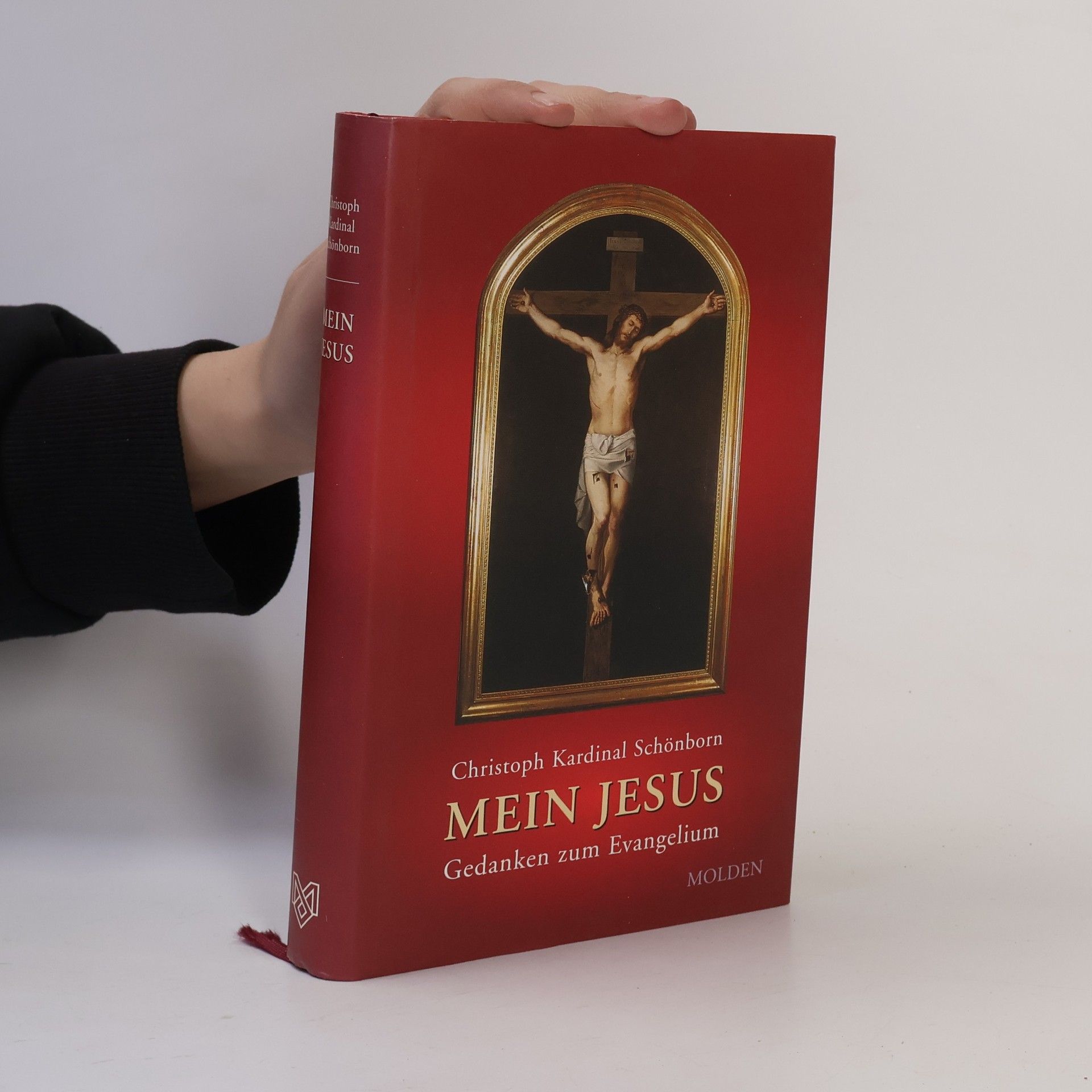 Mein Jesus. Gedanken zum Evangelium