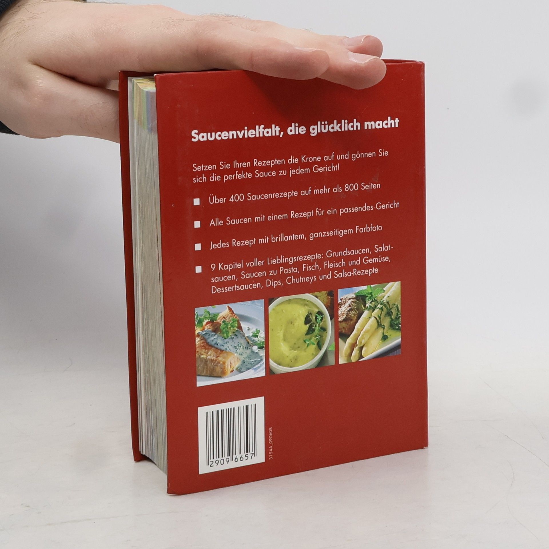 Das kleine dicke Saucenbuch