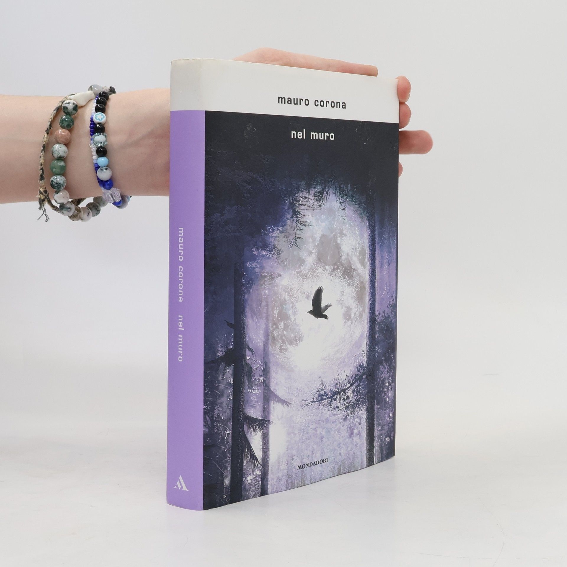 Mauro Corona Nel muro