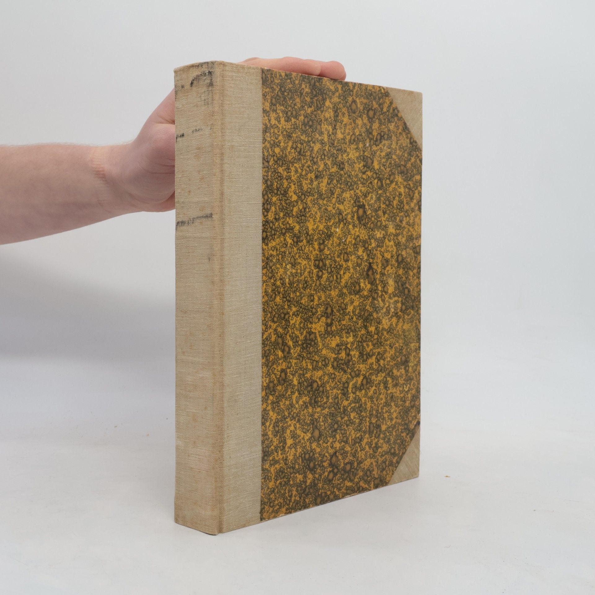 Autorenkollektiv Focus Jahrgang 1938