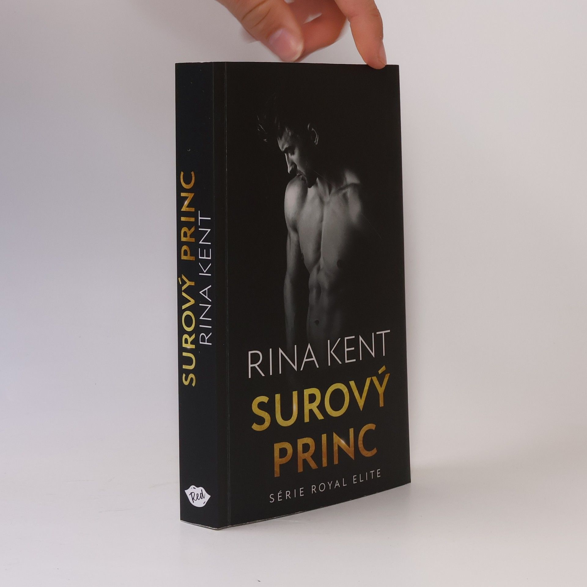 Rina Kent Surový princ